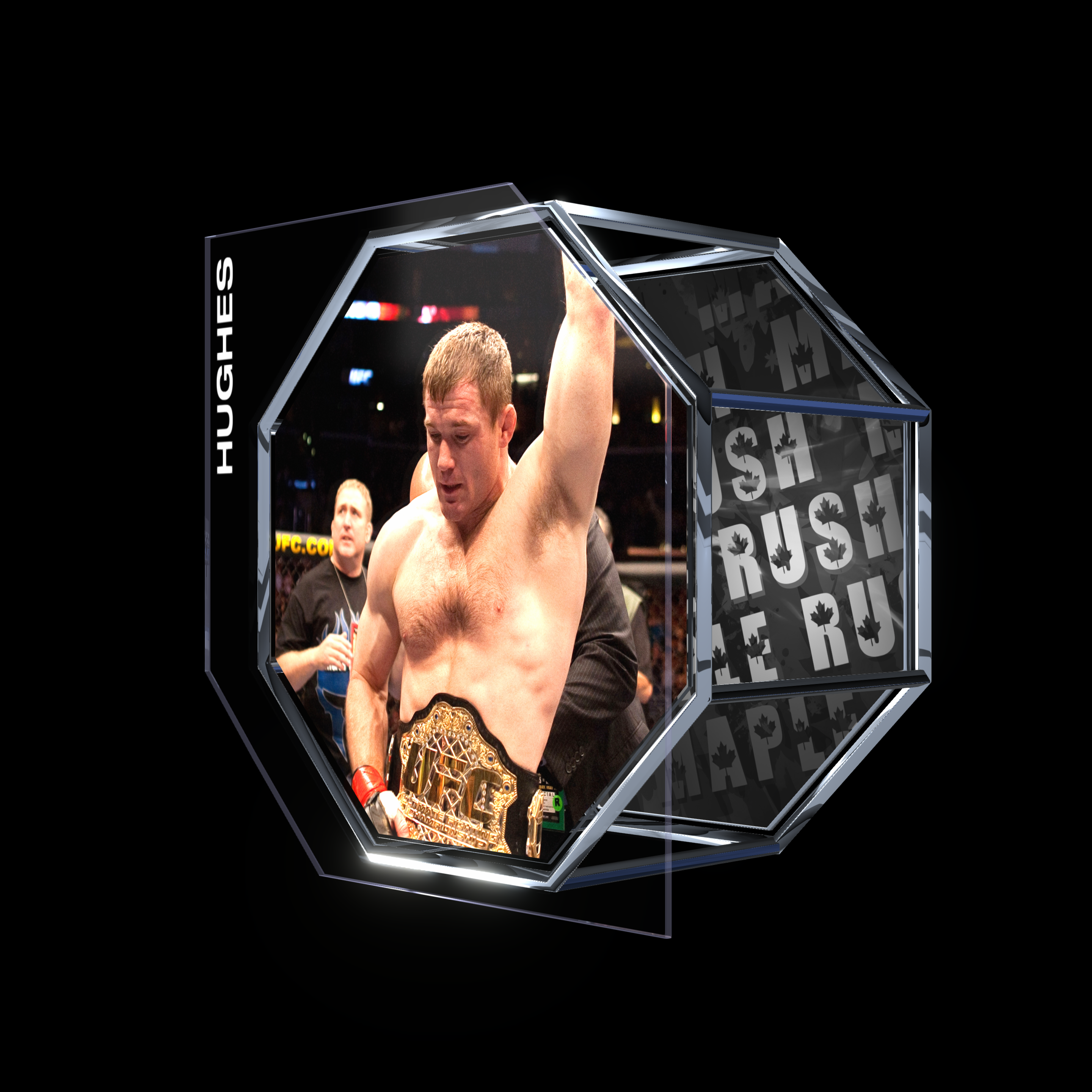 MATT HUGHES | UFC 60 | KO/TKO asset