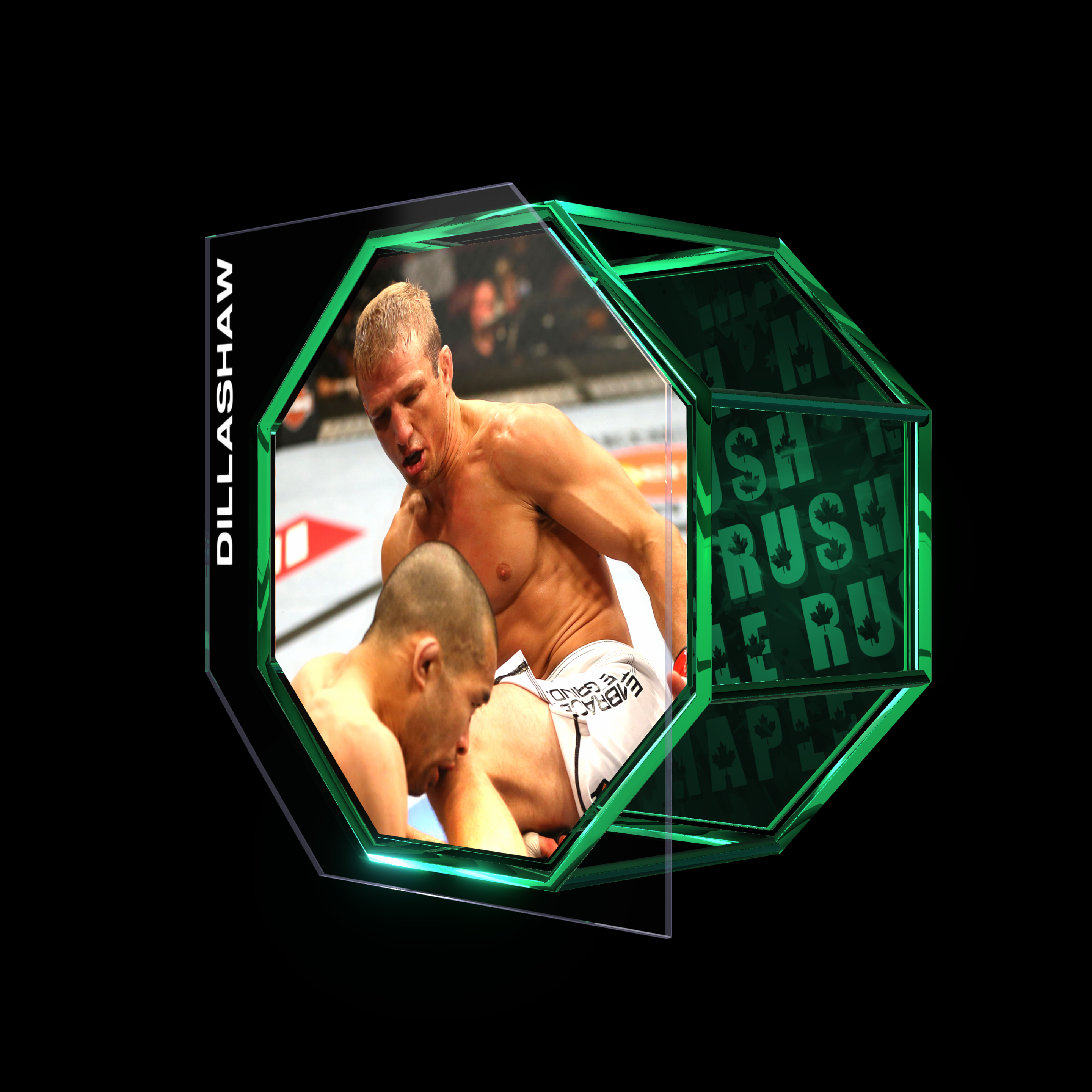 TJ DILLASHAW | UFC 158 | KO/TKO asset