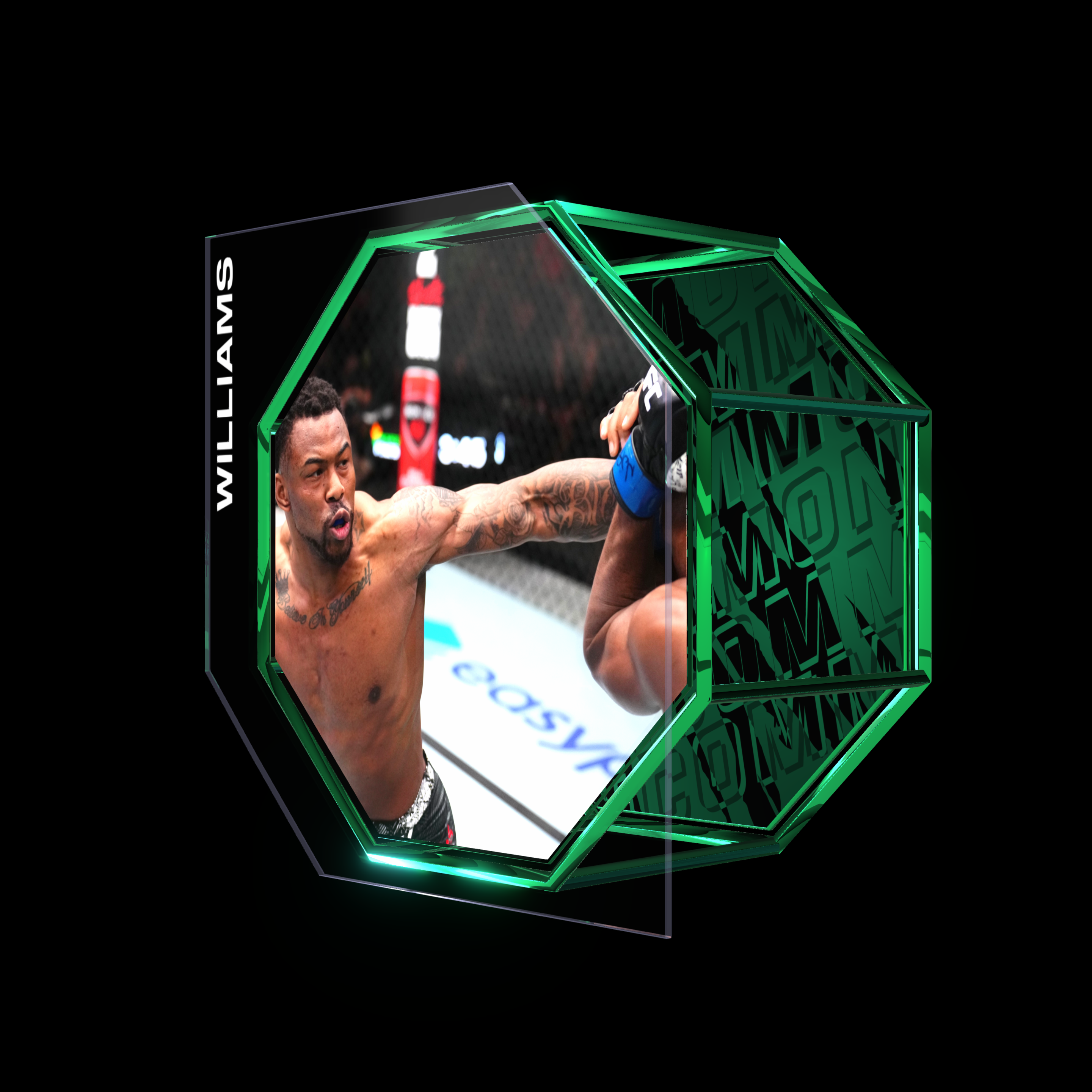 KALINN WILLIAMS | UFC FIGHT NIGHT MAY 18, 2024 | KO/TKO asset