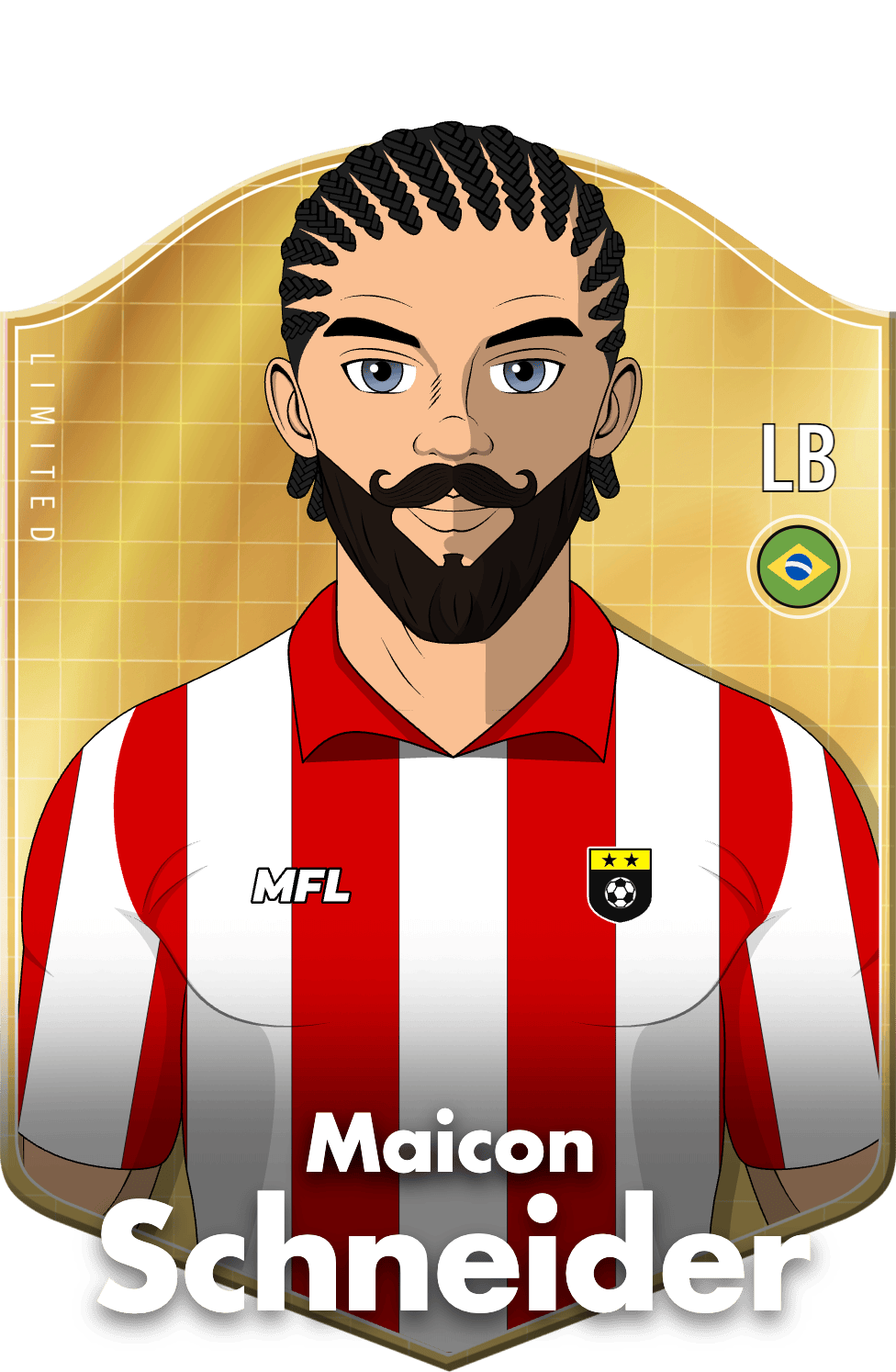 Maicon Schneider asset