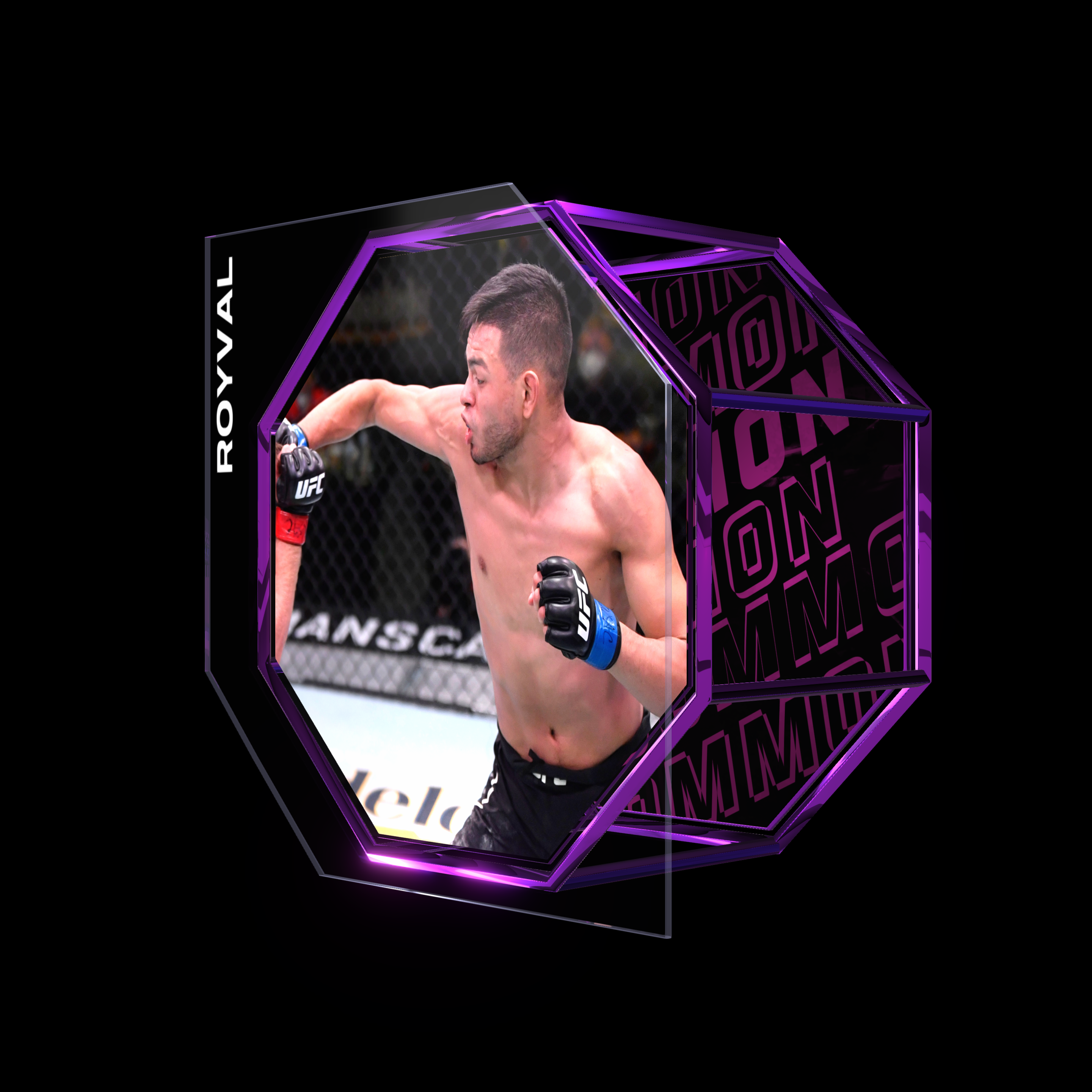 BRANDON ROYVAL | UFC FIGHT NIGHT MAY 30, 2020 | SUBMISSION asset
