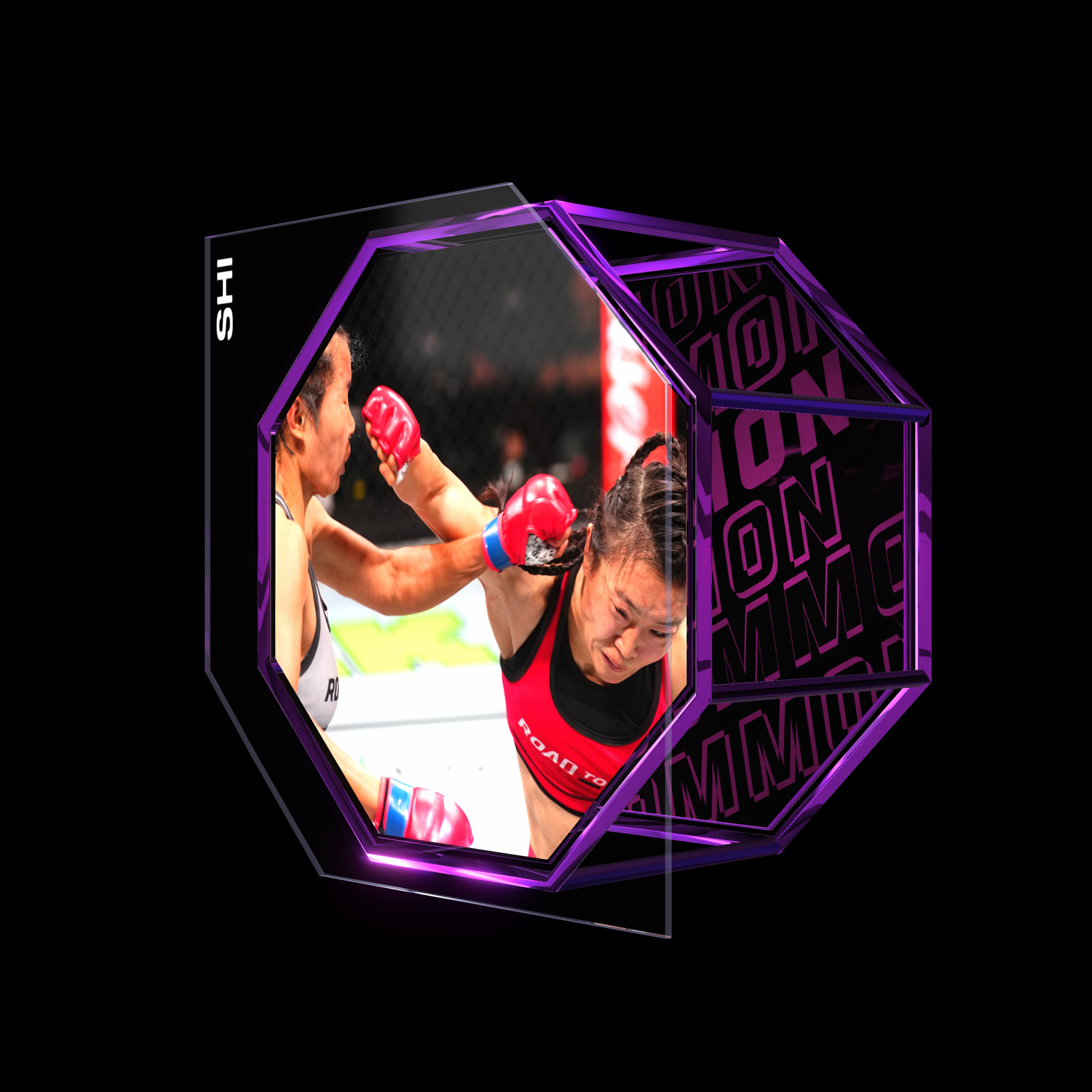 MING SHI | UFC FIGHT NIGHT NOV 23, 2024 | KO/TKO asset