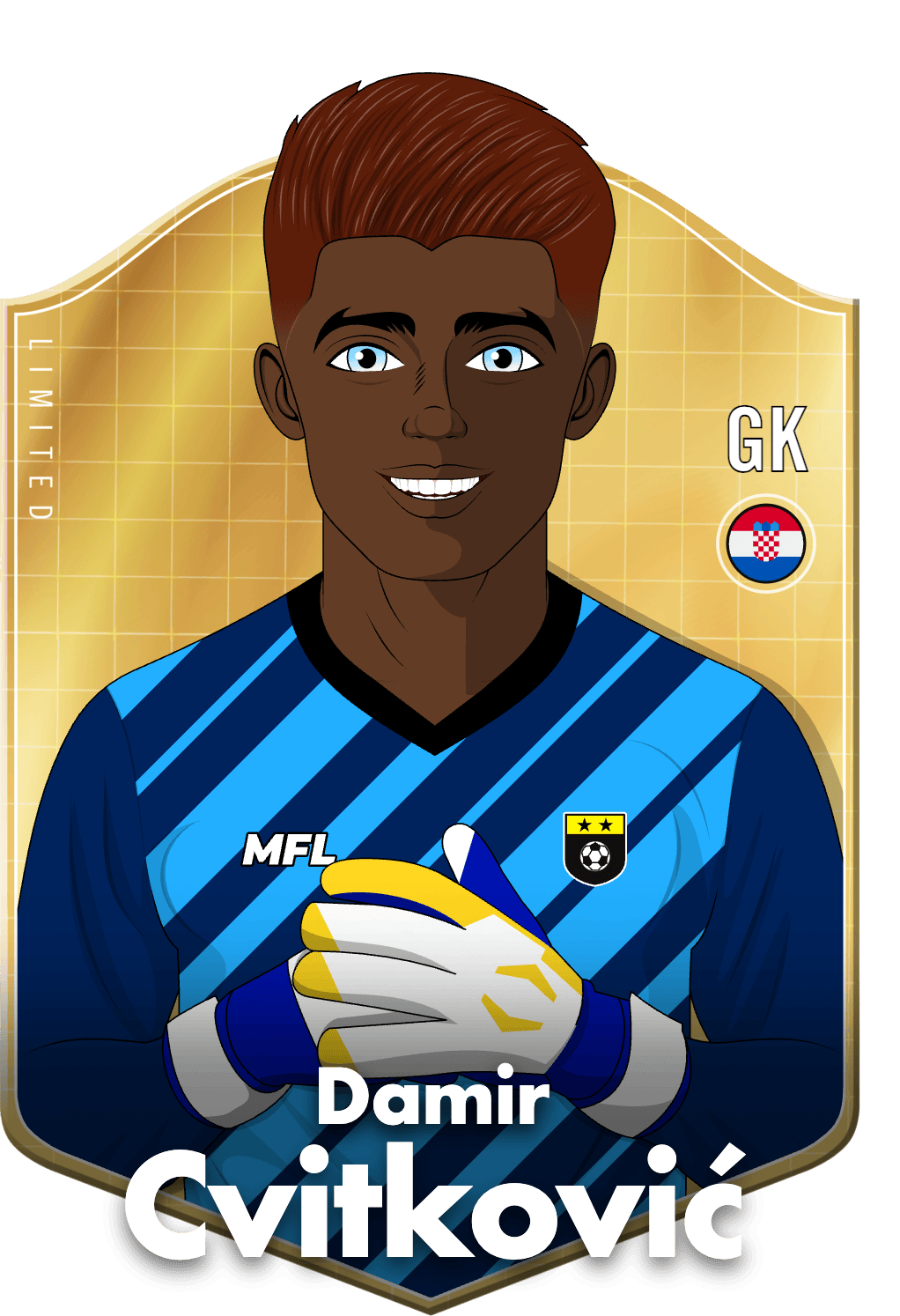 Damir Cvitković asset