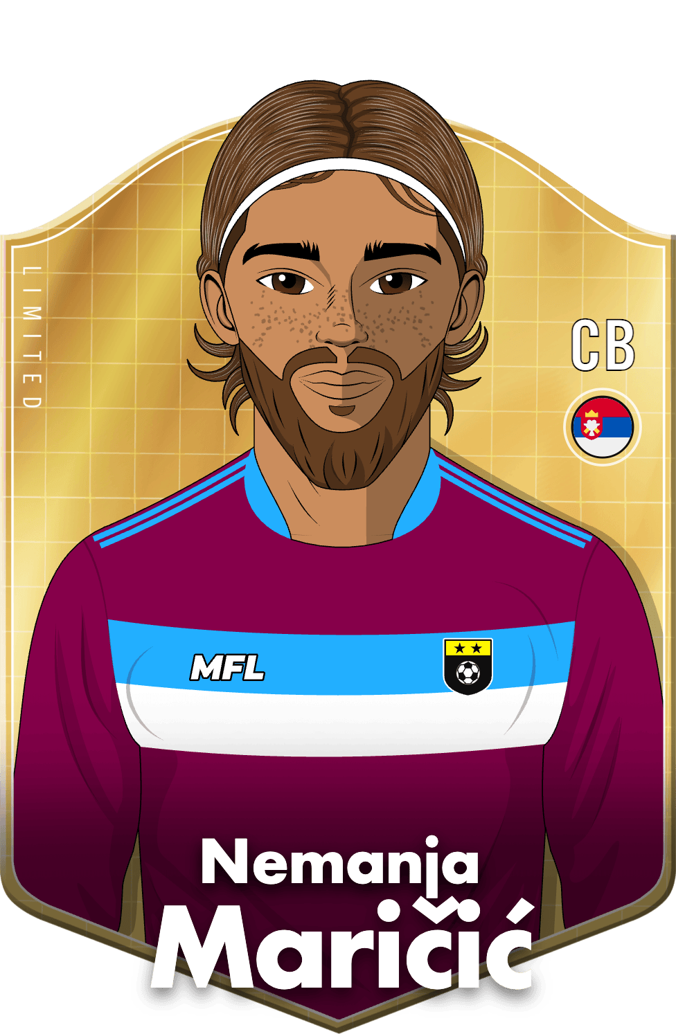 Nemanja Maričić asset