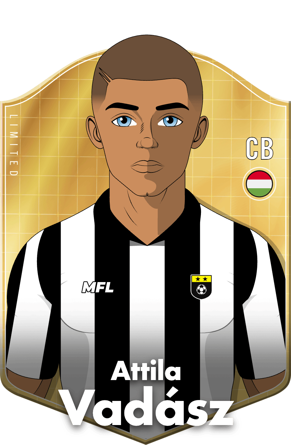 Attila Vadász asset