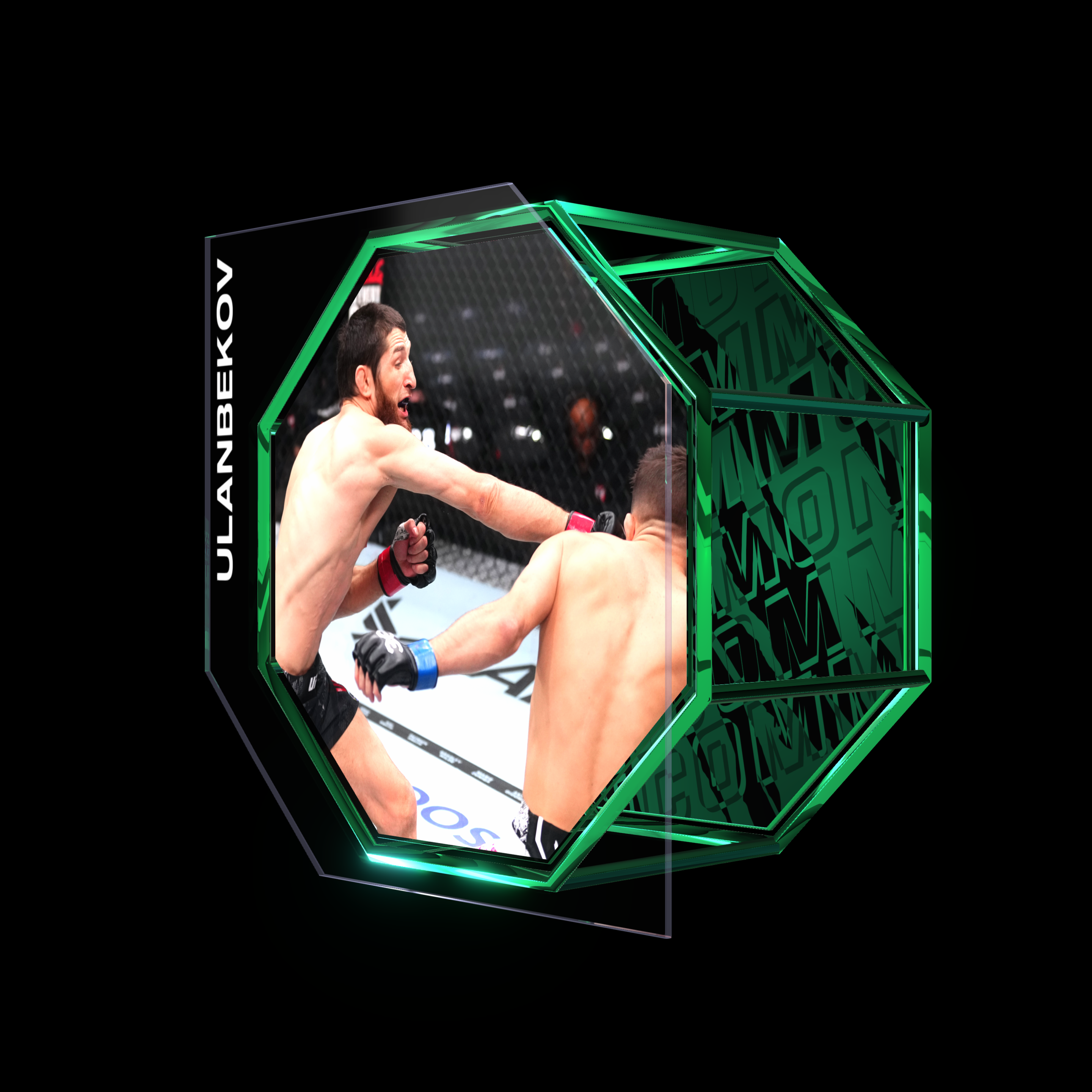 TAGIR ULANBEKOV | UFC 296 | SUBMISSION asset