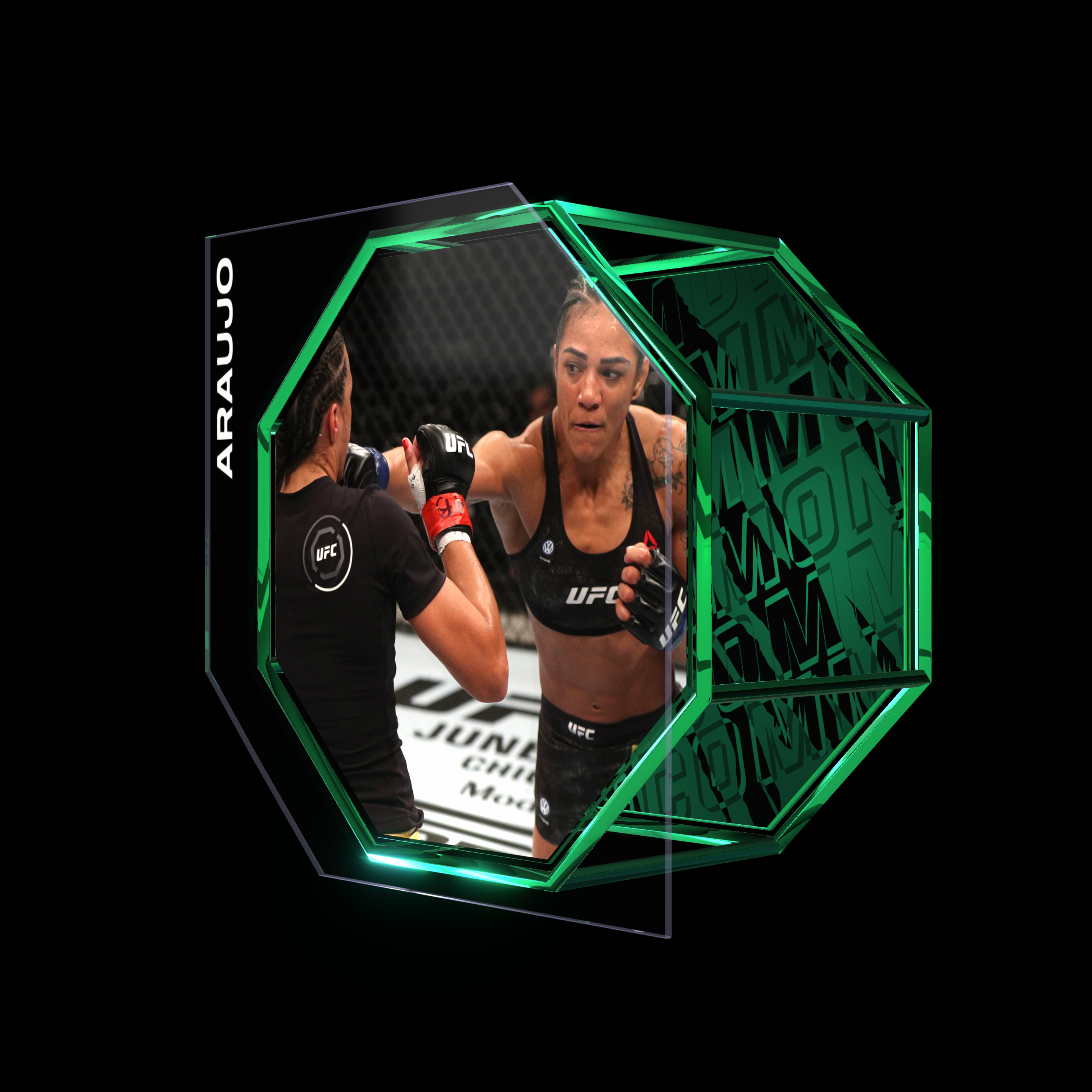 VIVIANE ARAUJO | UFC 237 | KO/TKO asset