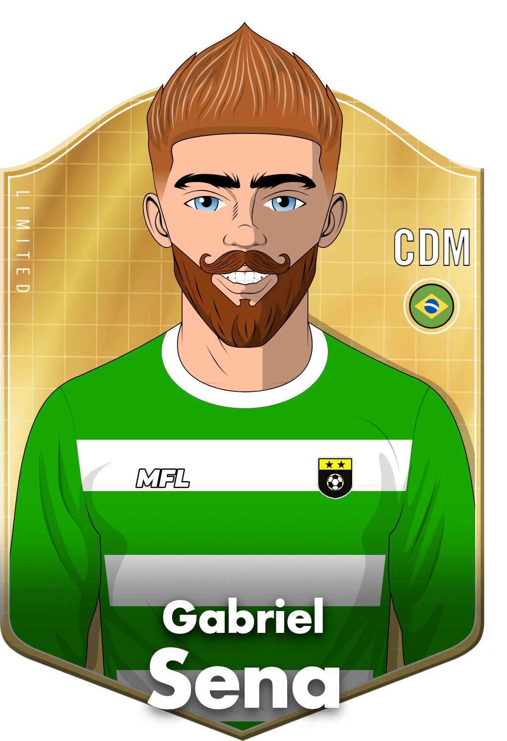 Gabriel Sena asset