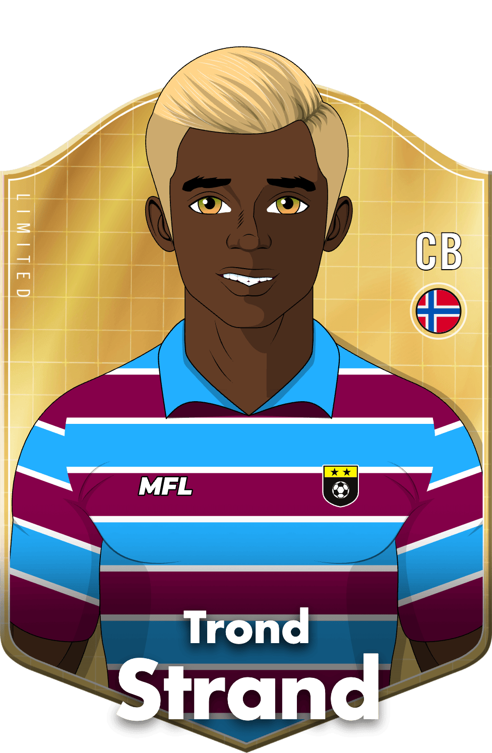 Trond Strand asset