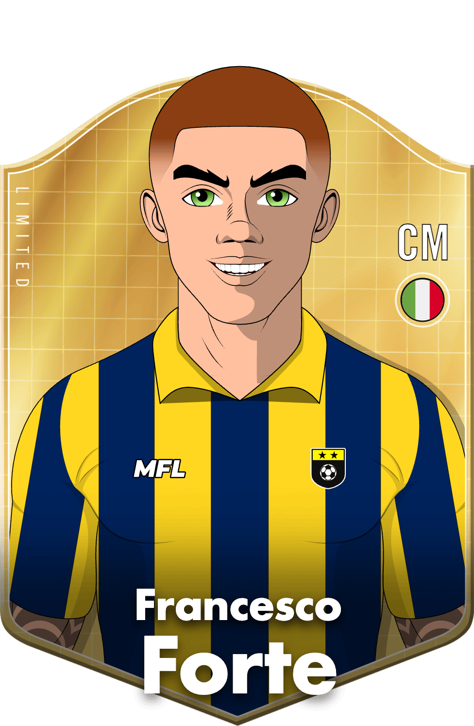 Francesco Forte asset