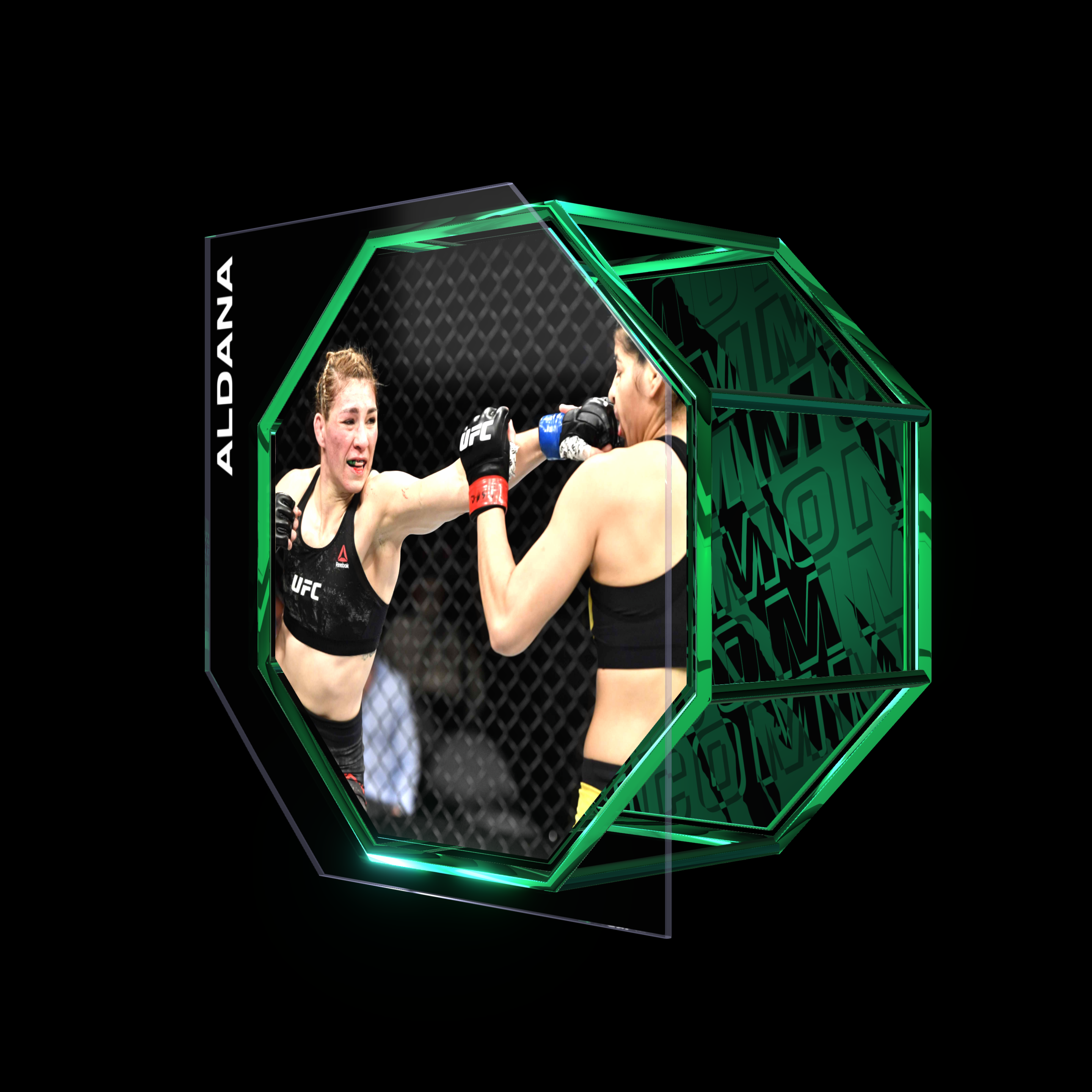 IRENE ALDANA | UFC 245 | KO/TKO asset
