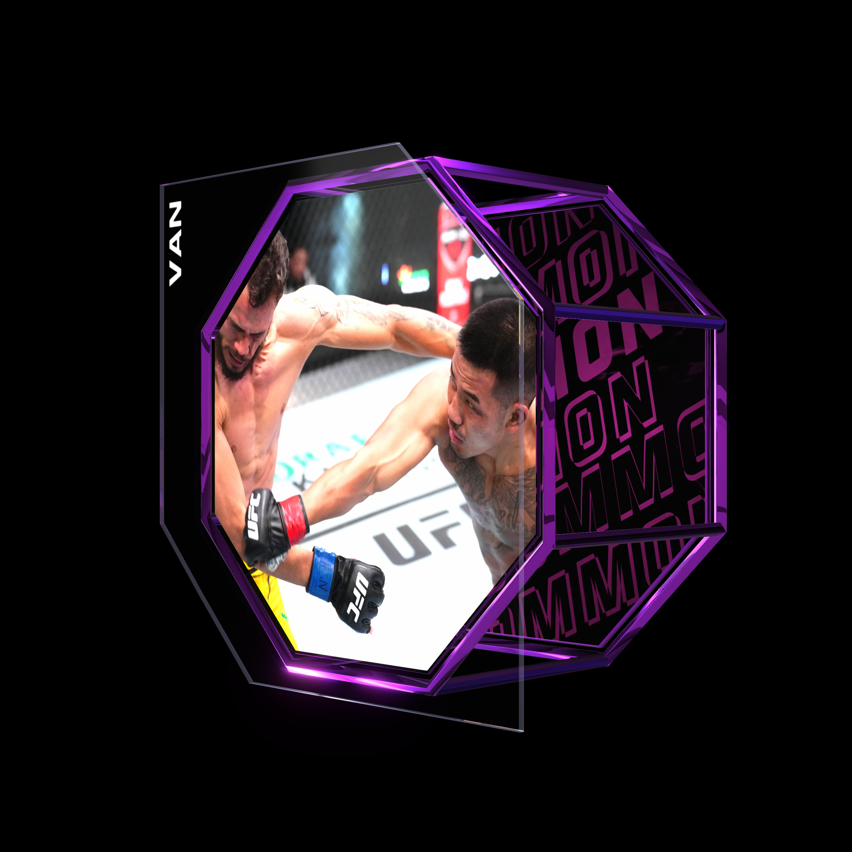 JOSHUA VAN | UFC FIGHT NIGHT JAN 13, 2024 | KO/TKO asset