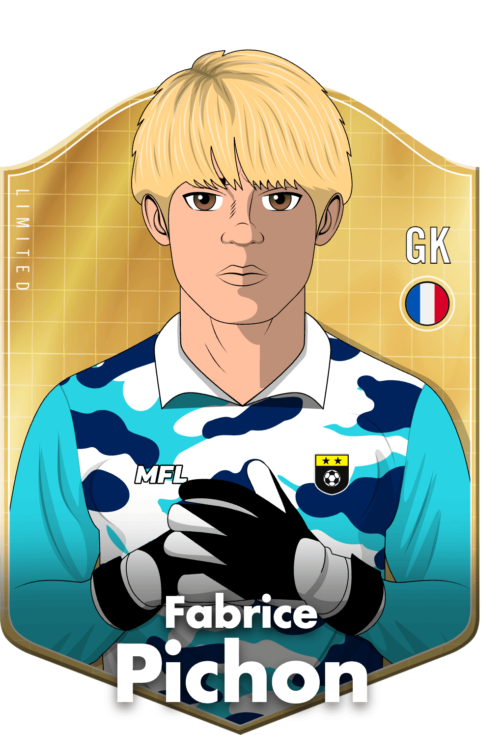 Fabrice Pichon asset