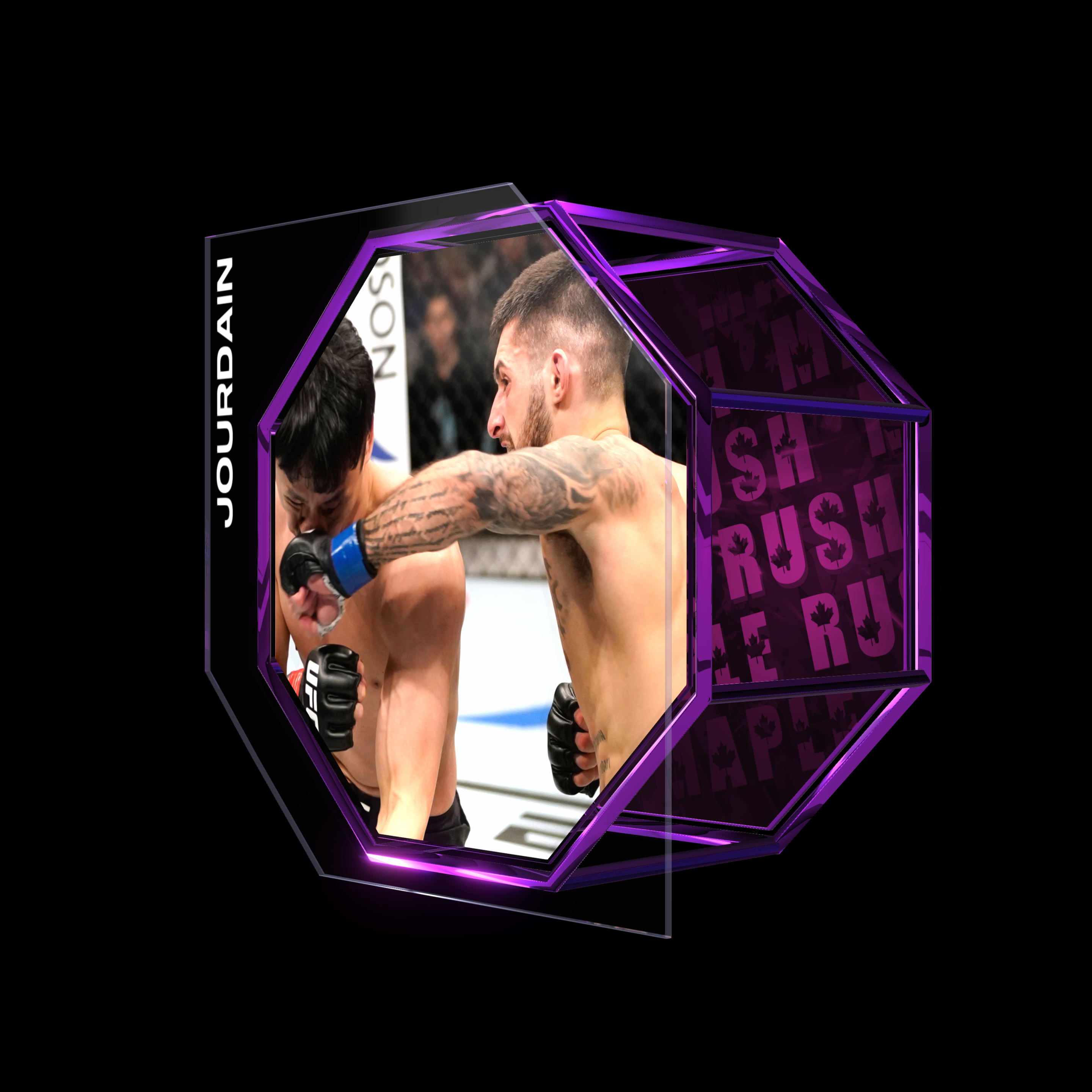 CHARLES JOURDAIN | UFC FIGHT NIGHT DEC 21, 2019 | KO/TKO asset