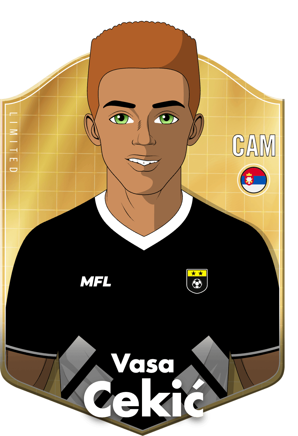 Vasa Cekić asset