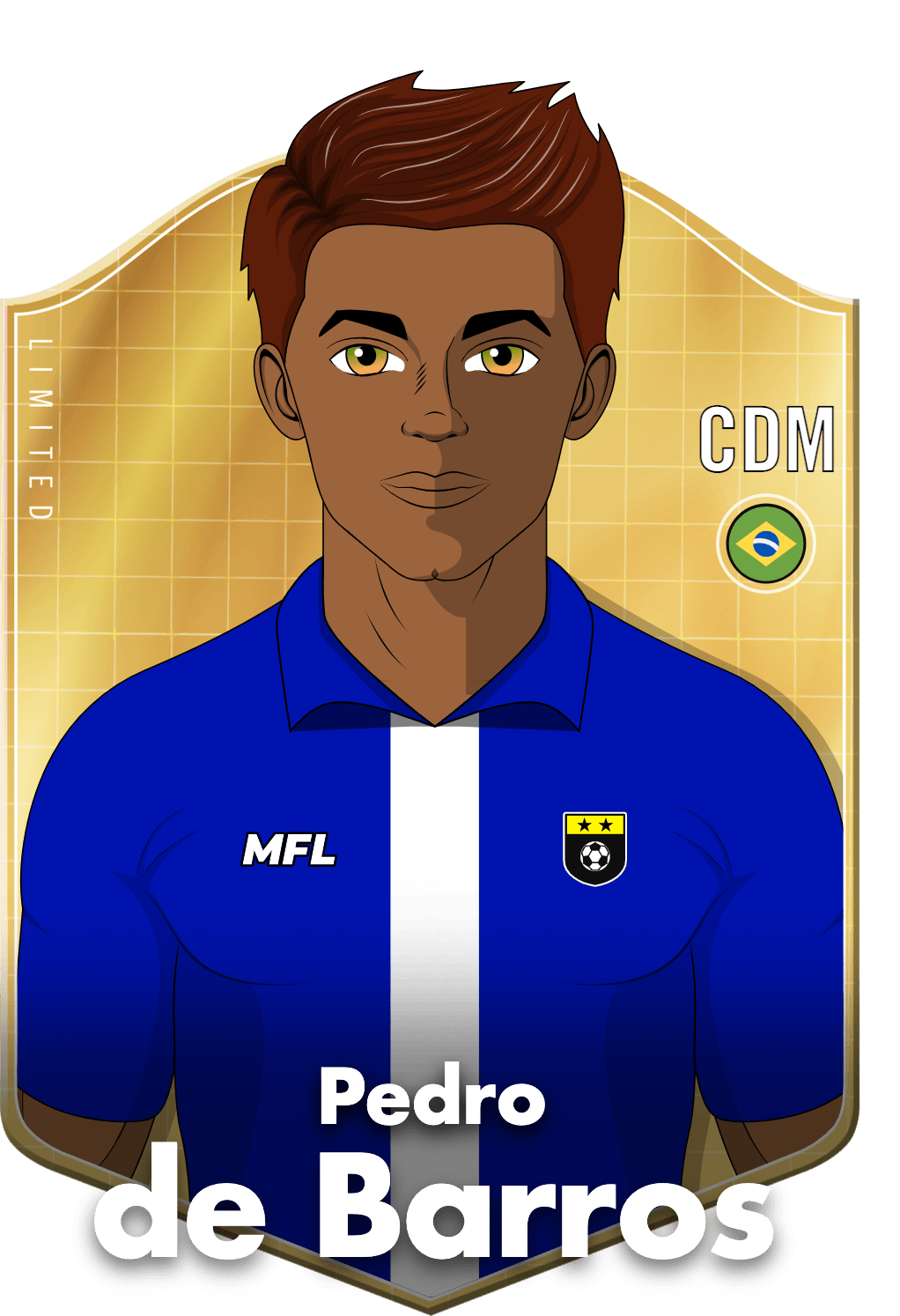 Pedro de Barros asset