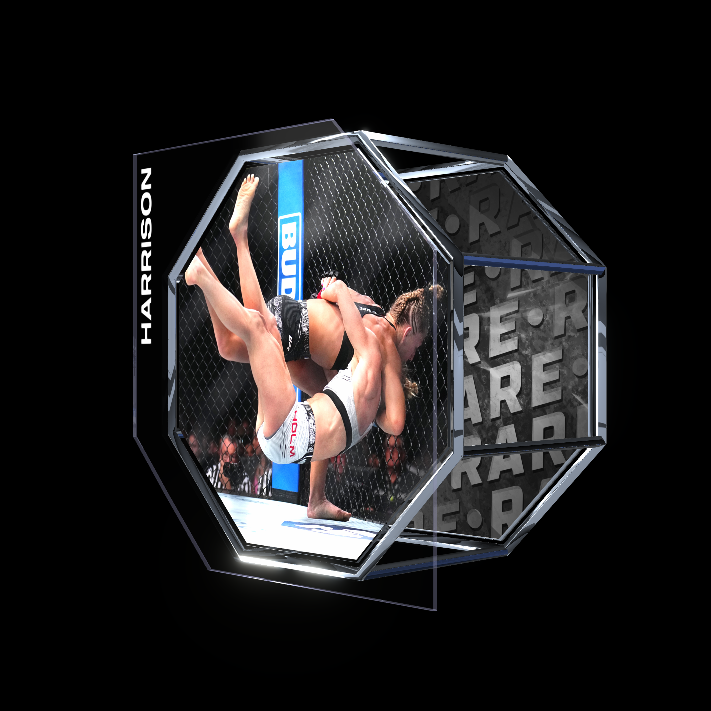 KAYLA HARRISON | UFC 300 | SUBMISSION asset