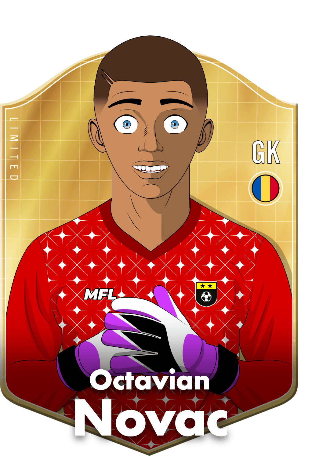 Octavian Novac asset