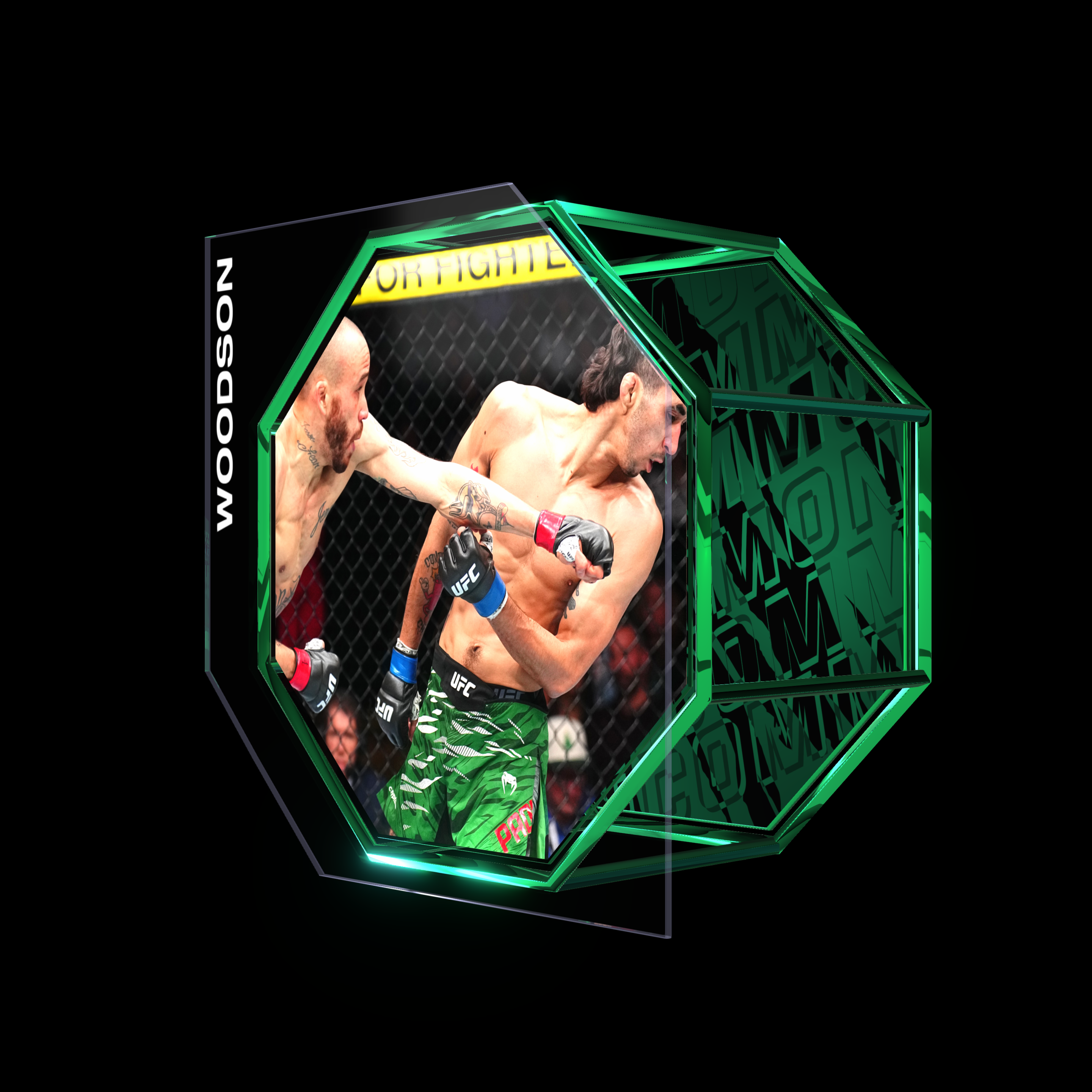 SEAN WOODSON | UFC FIGHT NIGHT DEC 14, 2024 | KO/TKO asset