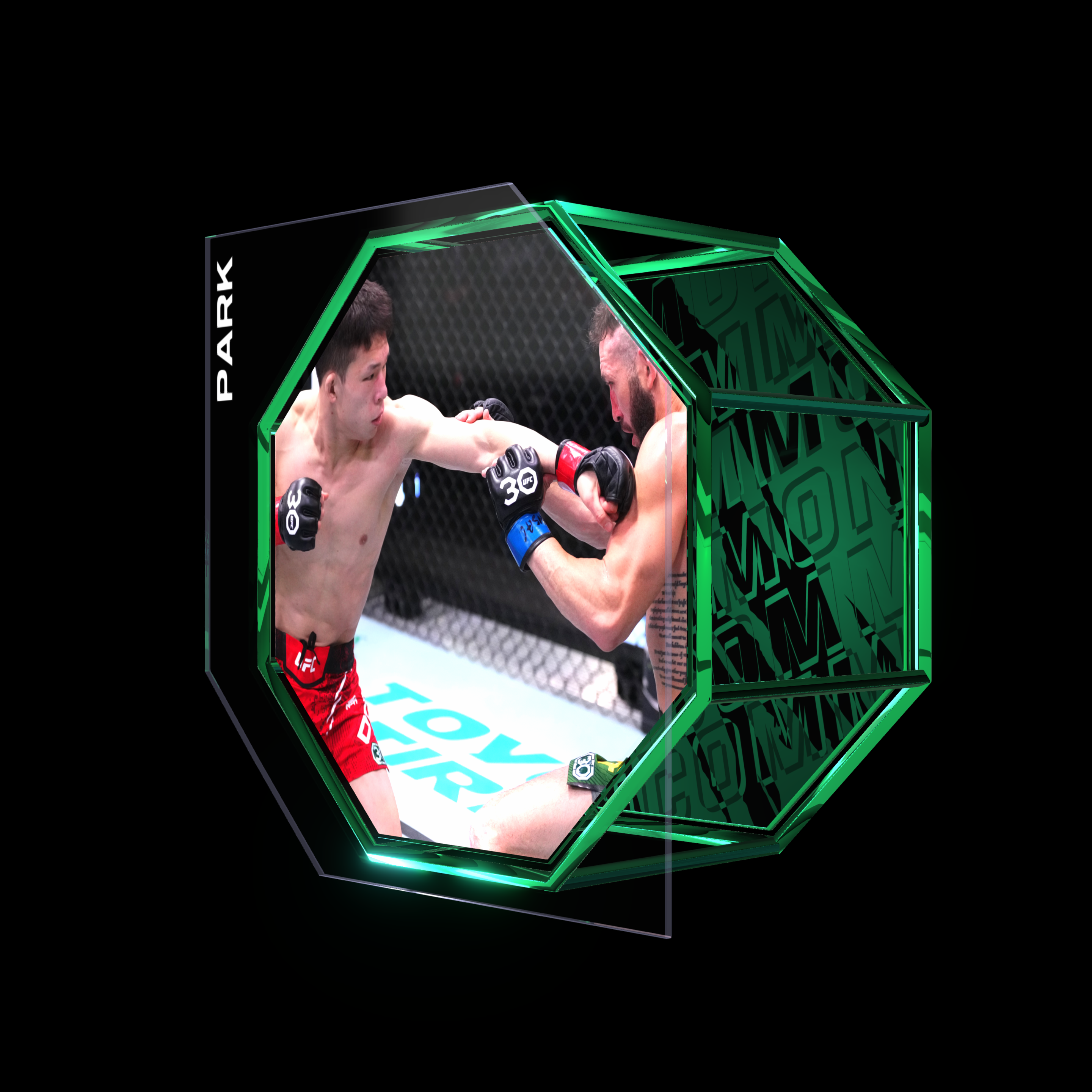 HYUNSUNG PARK | UFC FIGHT NIGHT DEC 09, 2023 | KO/TKO asset