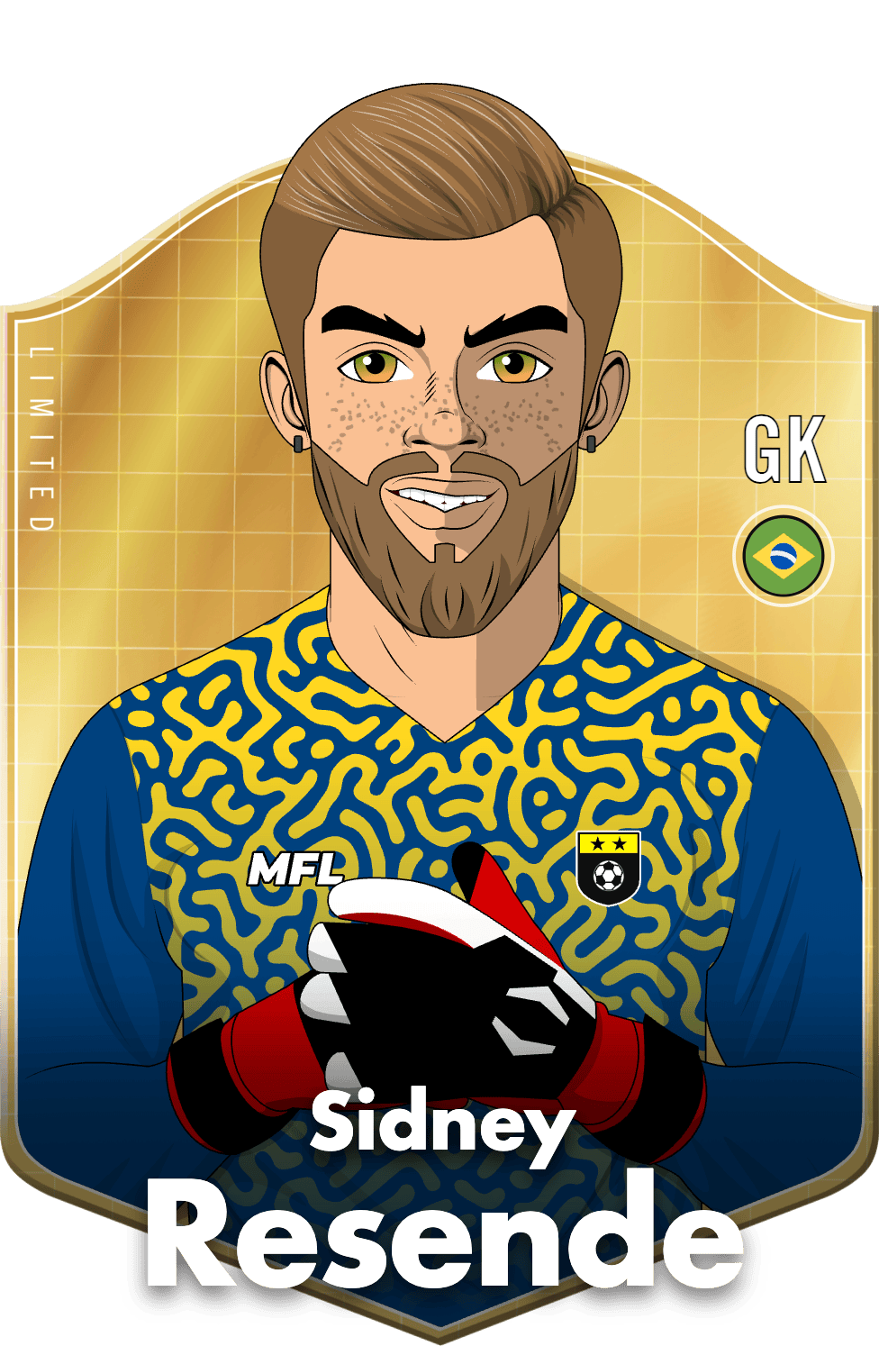 Sidney Resende asset