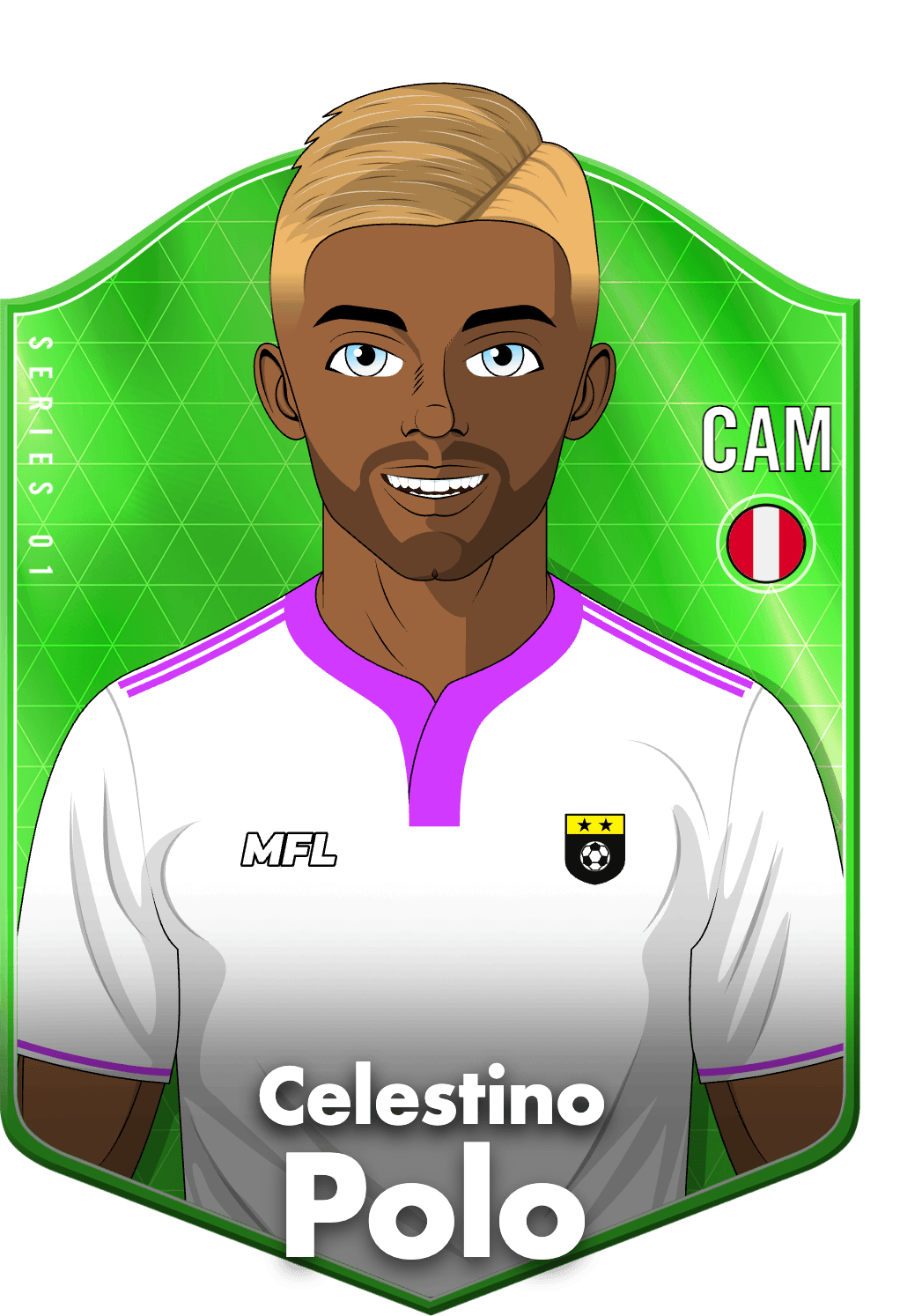 Celestino Polo asset