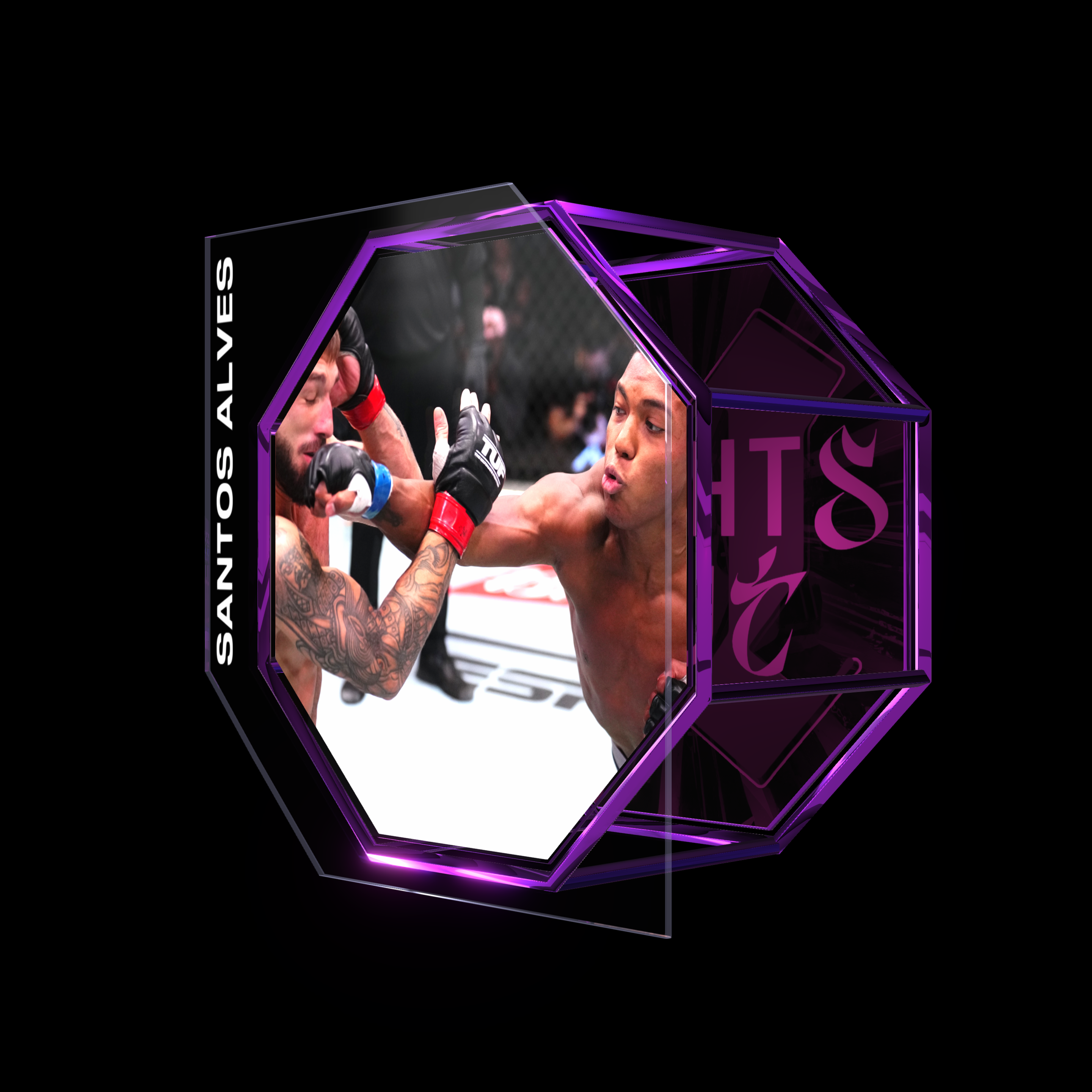 MAIRON SANTOS ALVES | UFC FIGHT NIGHT AUG 24, 2024 | KO/TKO asset