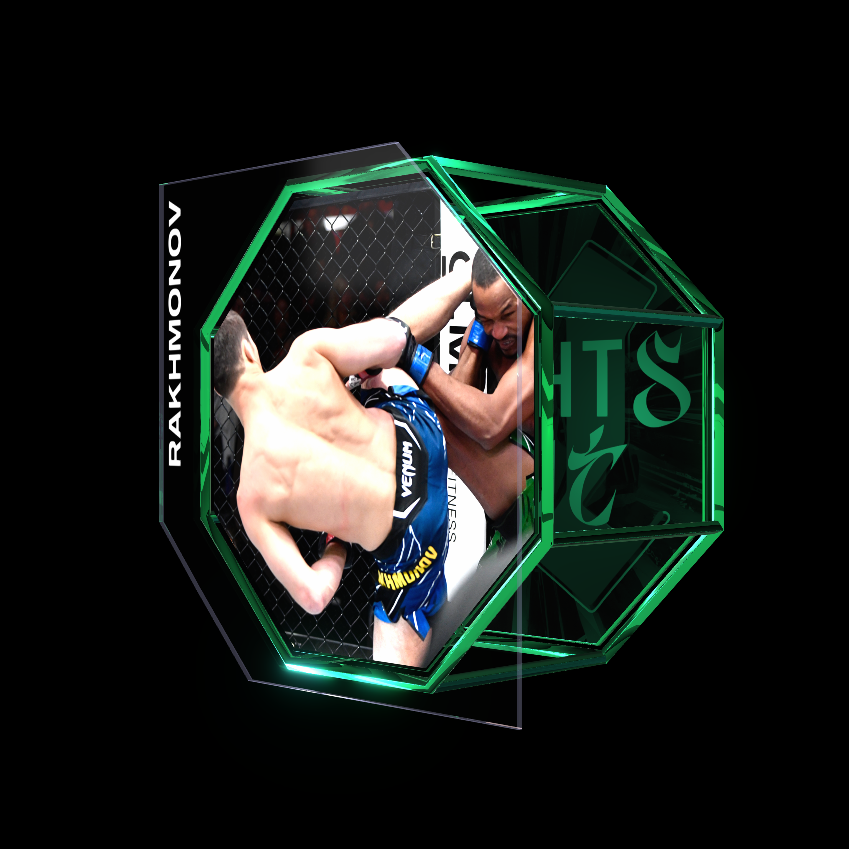 SHAVKAT RAKHMONOV | UFC FIGHT NIGHT FEB 05, 2022 | KO/TKO asset