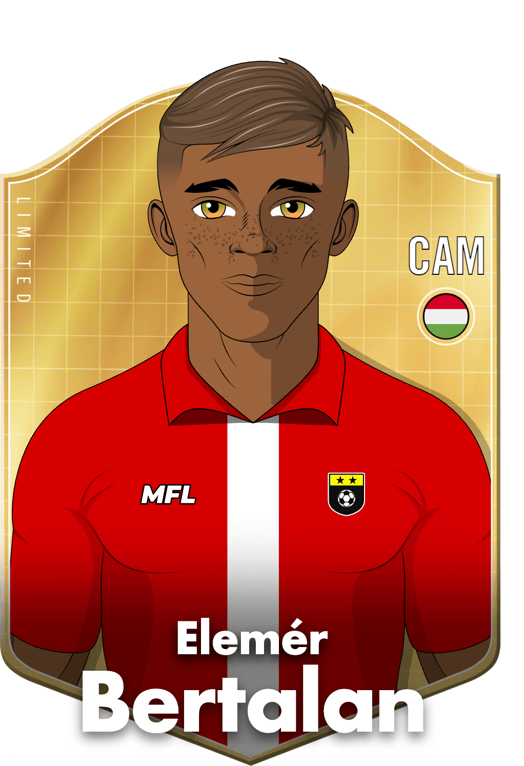 Elemér Bertalan asset
