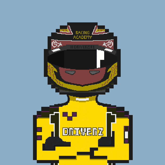 Driver #493 asset