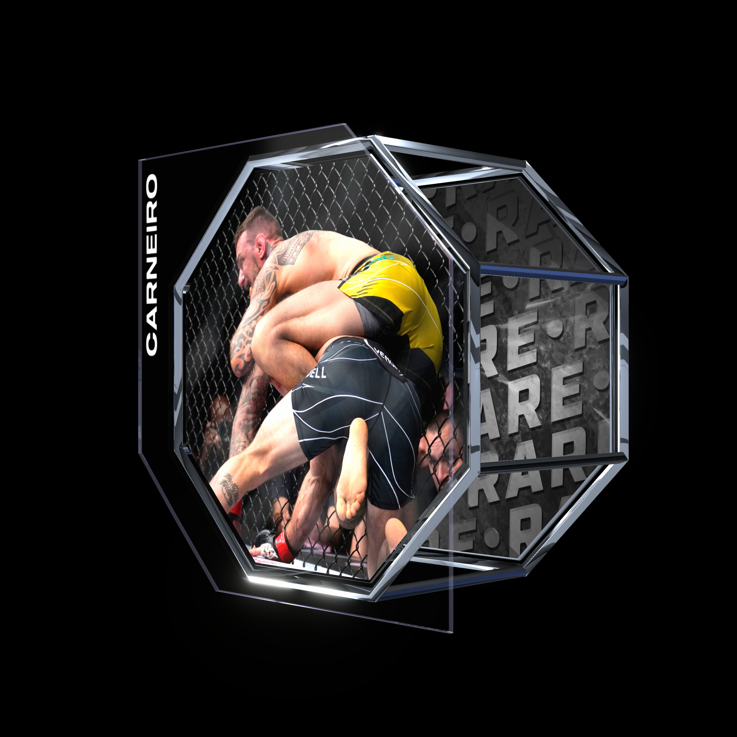 RENATO CARNEIRO | UFC 281 | SUBMISSION asset