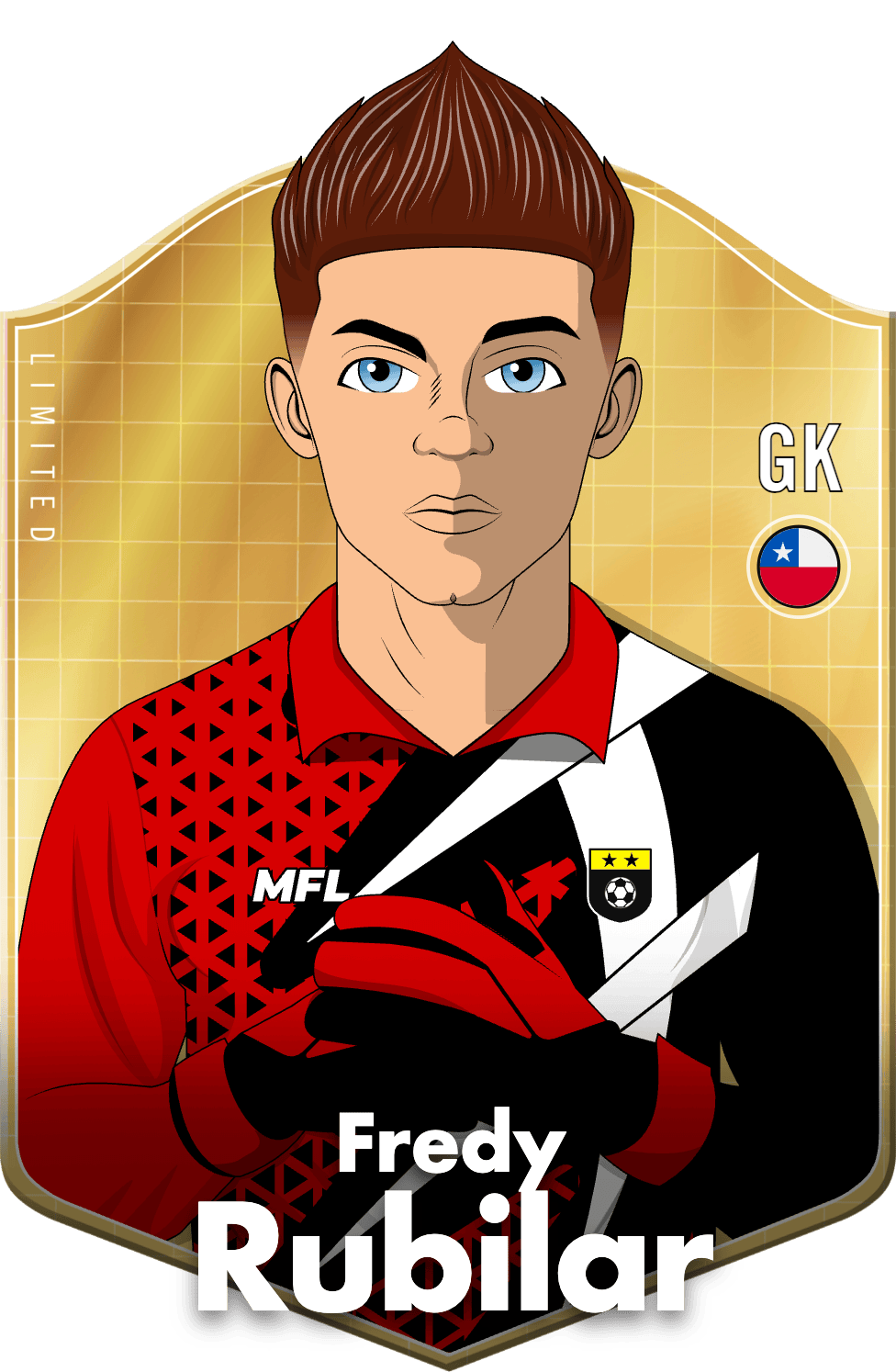 Fredy Rubilar asset