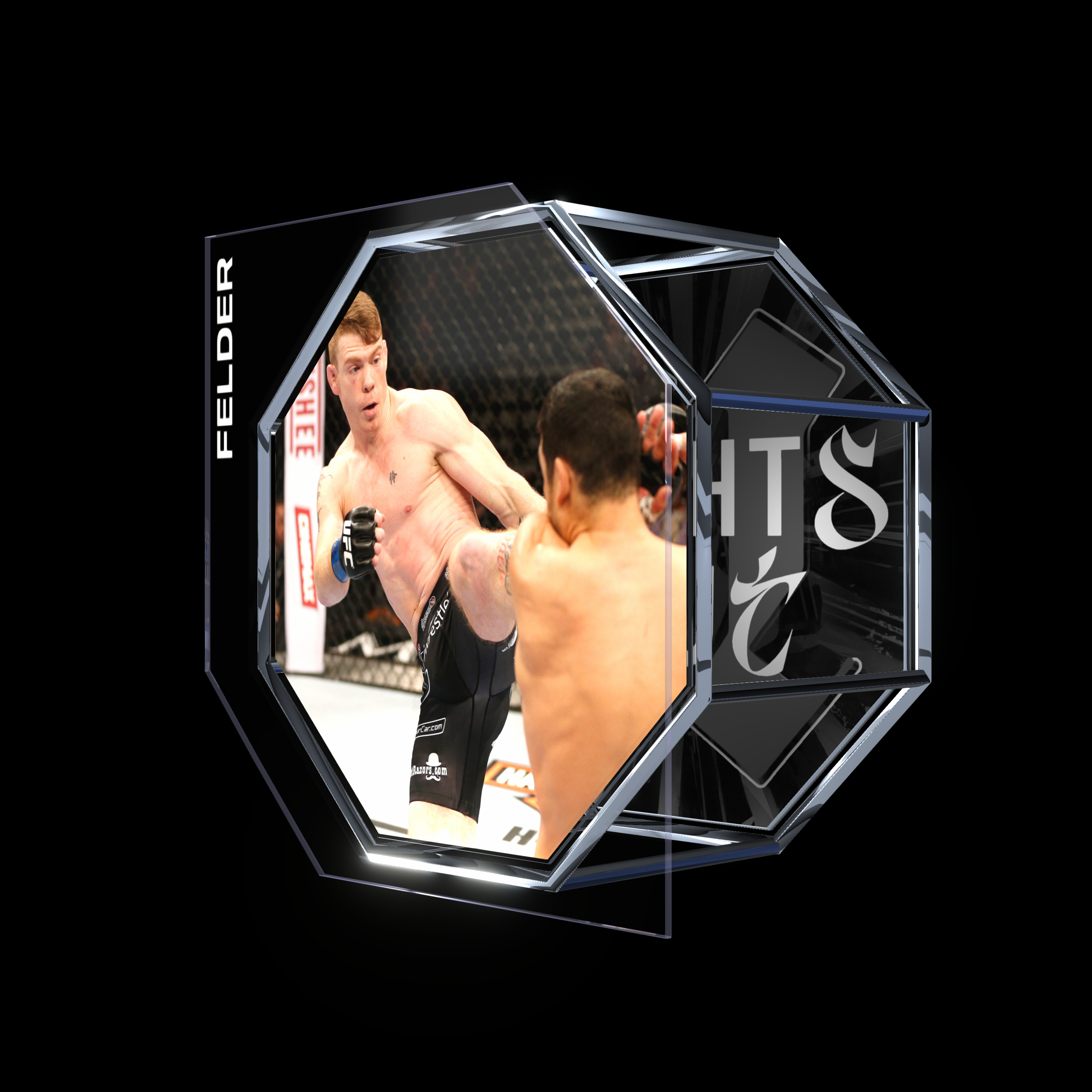 PAUL FELDER | UFC 182 | KO/TKO asset