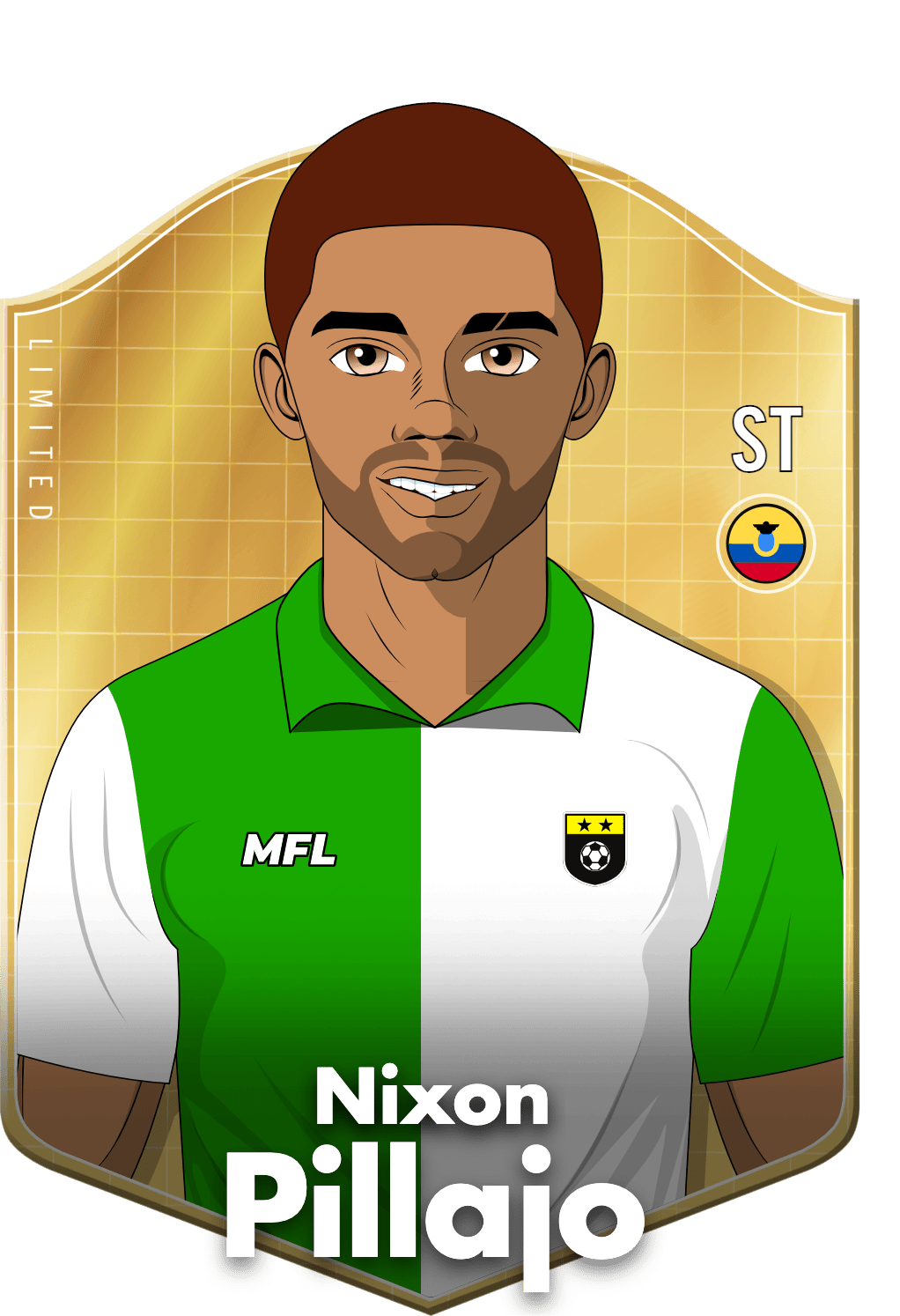 Nixon Pillajo asset