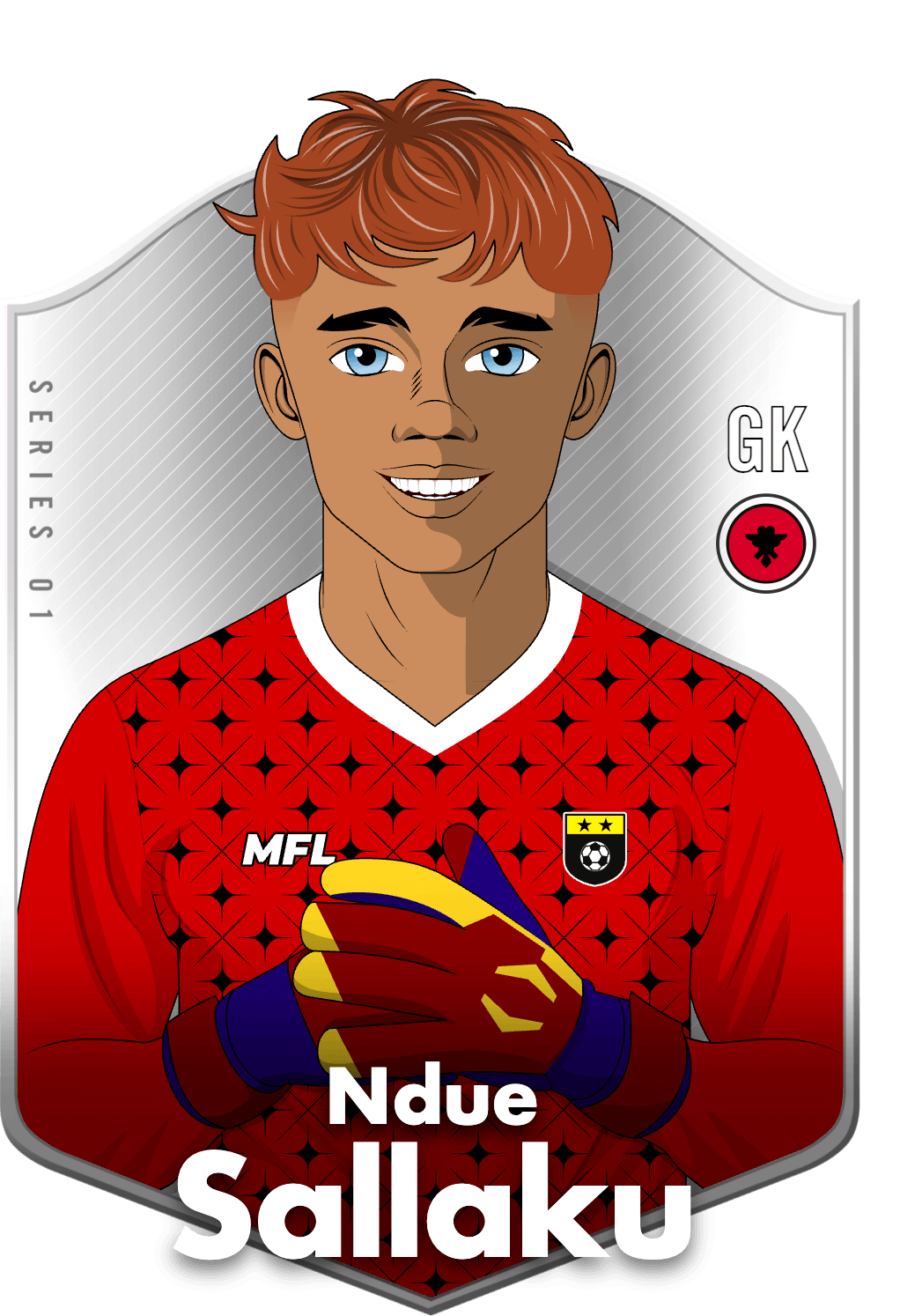 Ndue Sallaku asset