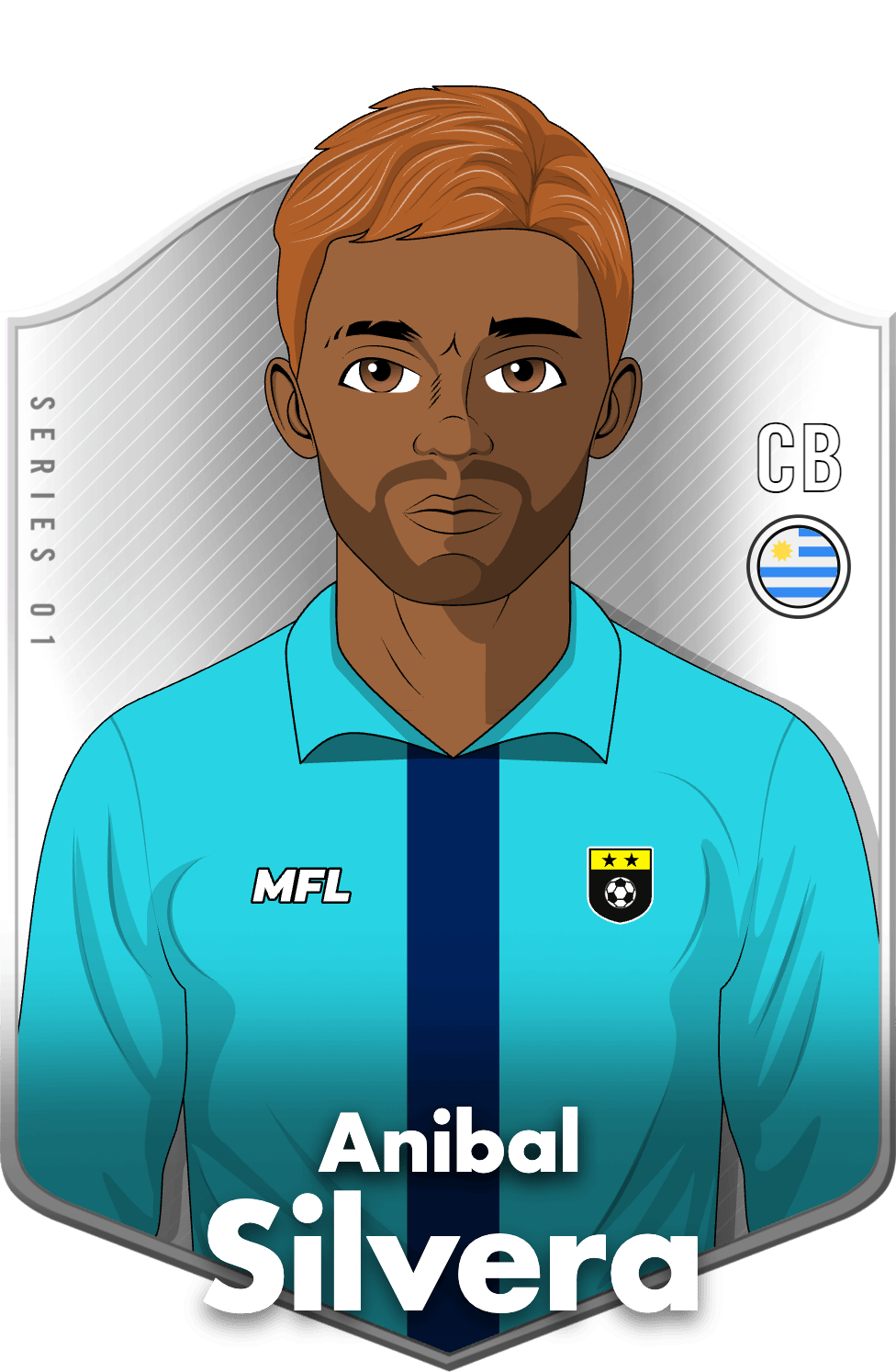 Anibal Silvera asset