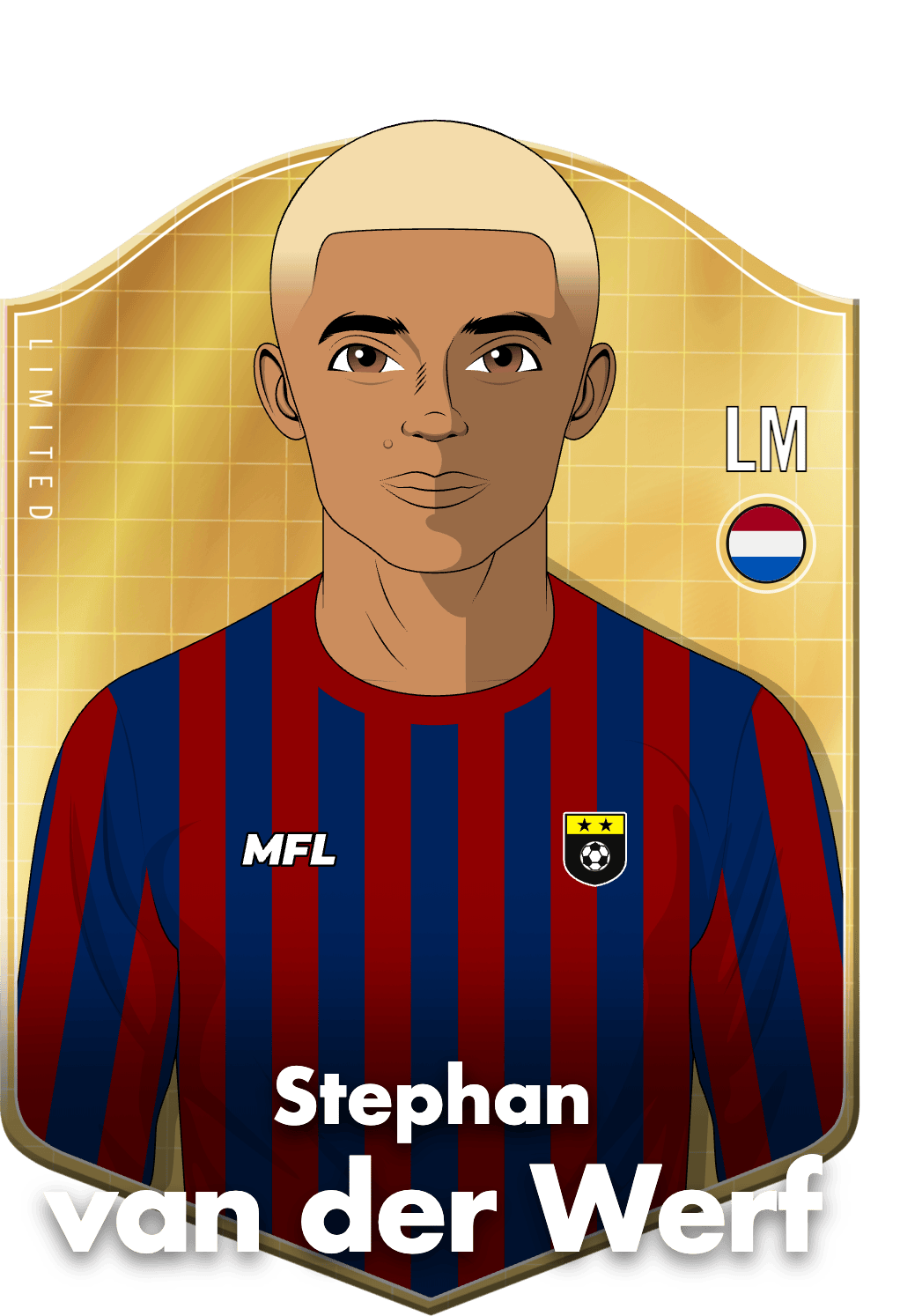 Stephan van der Werf asset