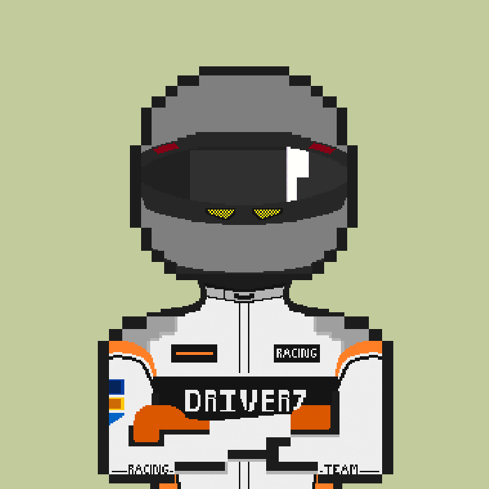 Driver #199 asset