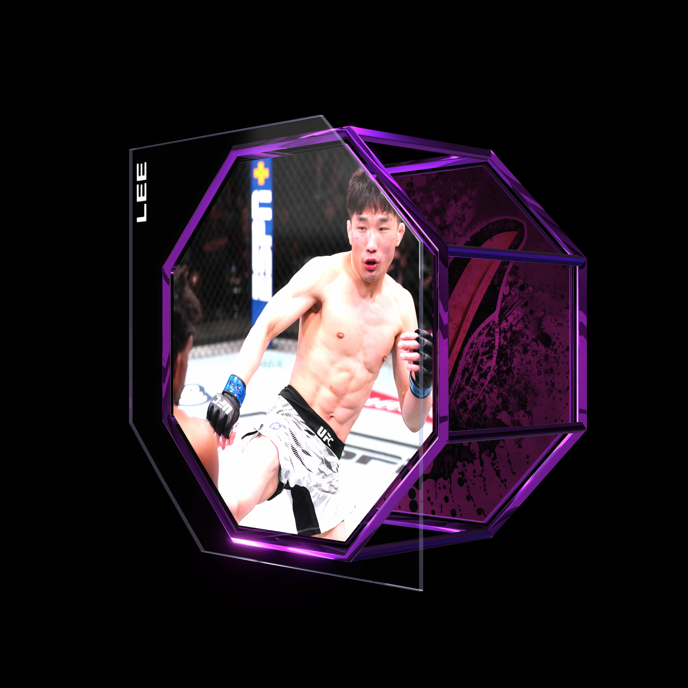 CHANG HO LEE | UFC FIGHT NIGHT APR 05, 2025 | KO/TKO asset