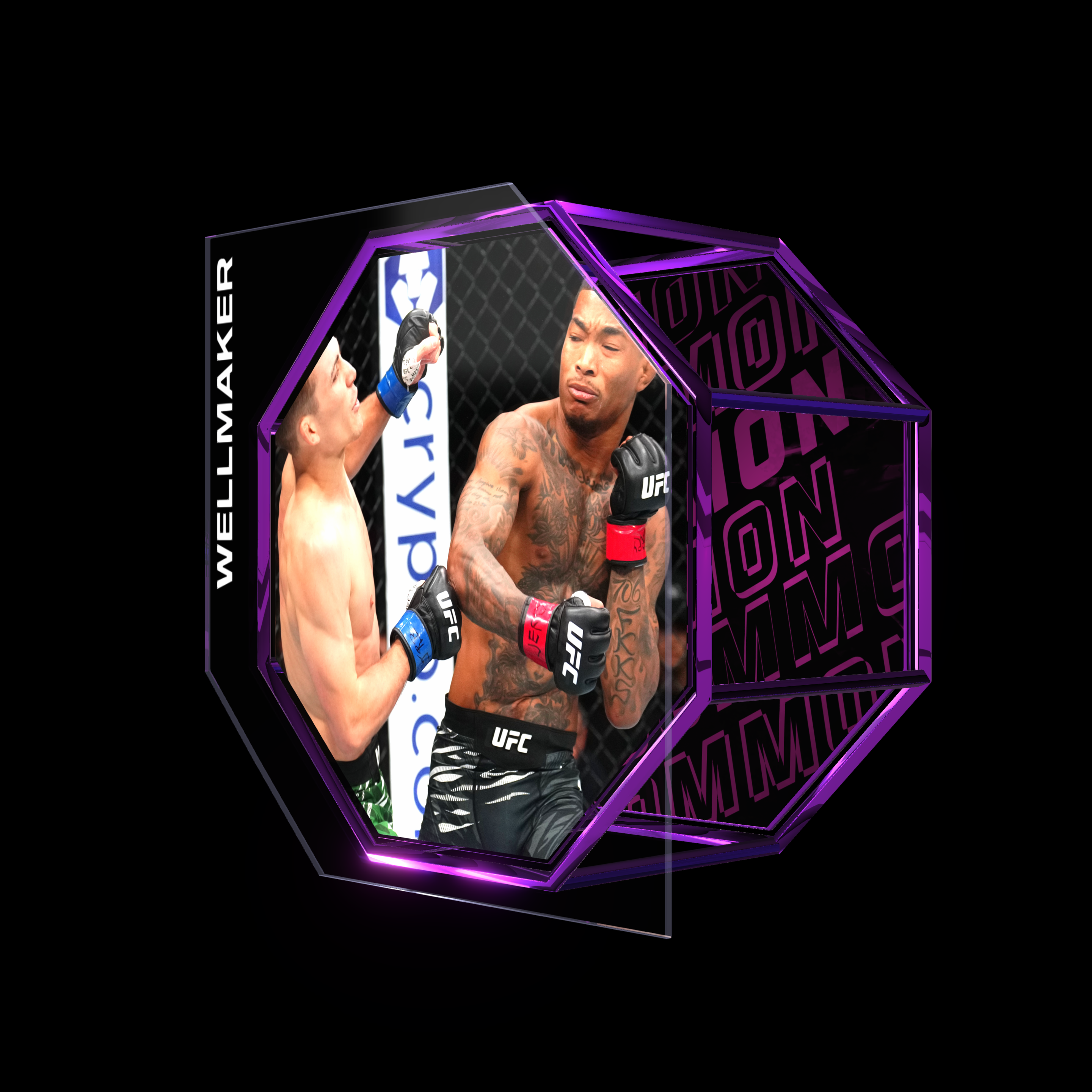MALCOLM WELLMAKER | UFC FIGHT NIGHT APR 26, 2025 | KO/TKO asset