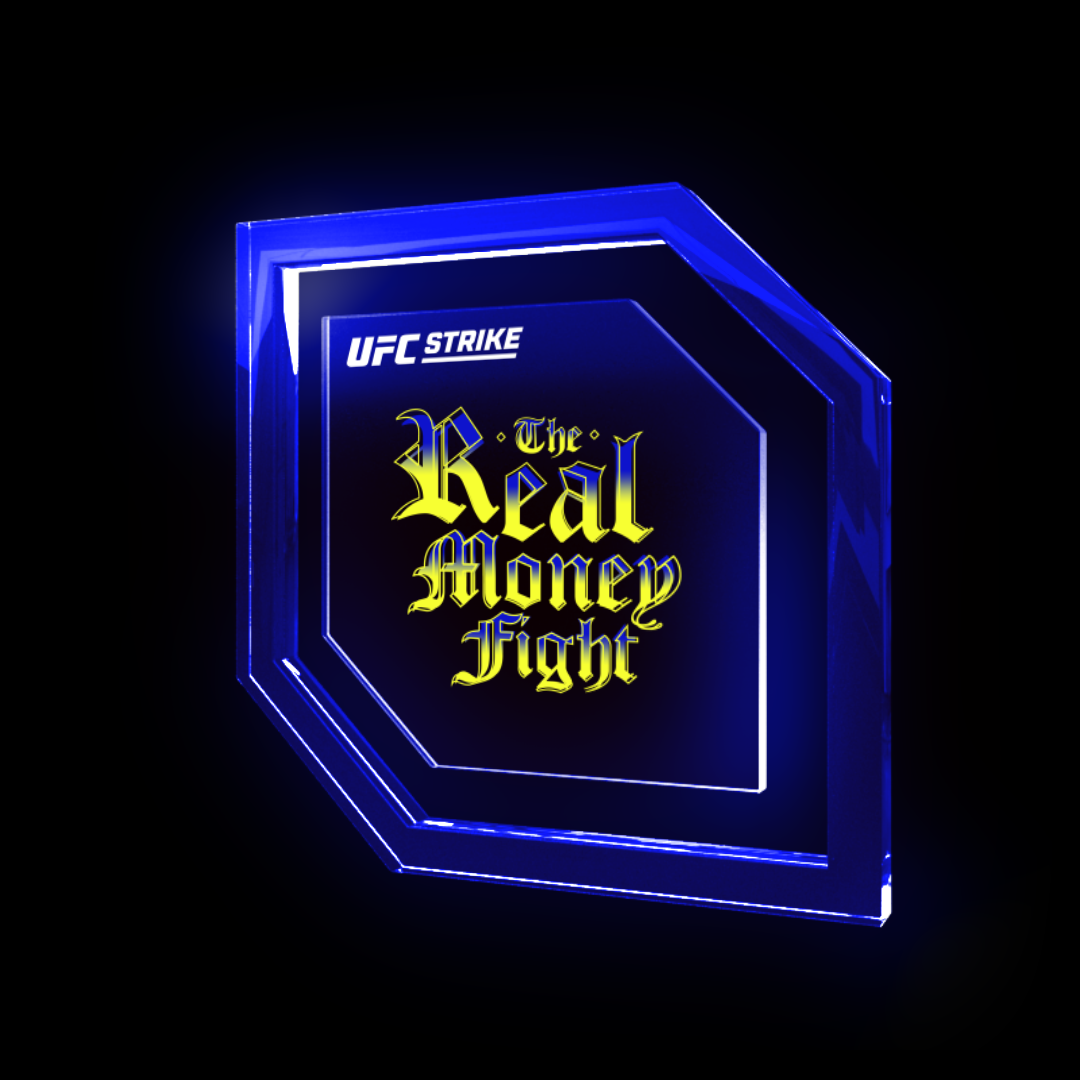 THE REAL MONEY FIGHT asset