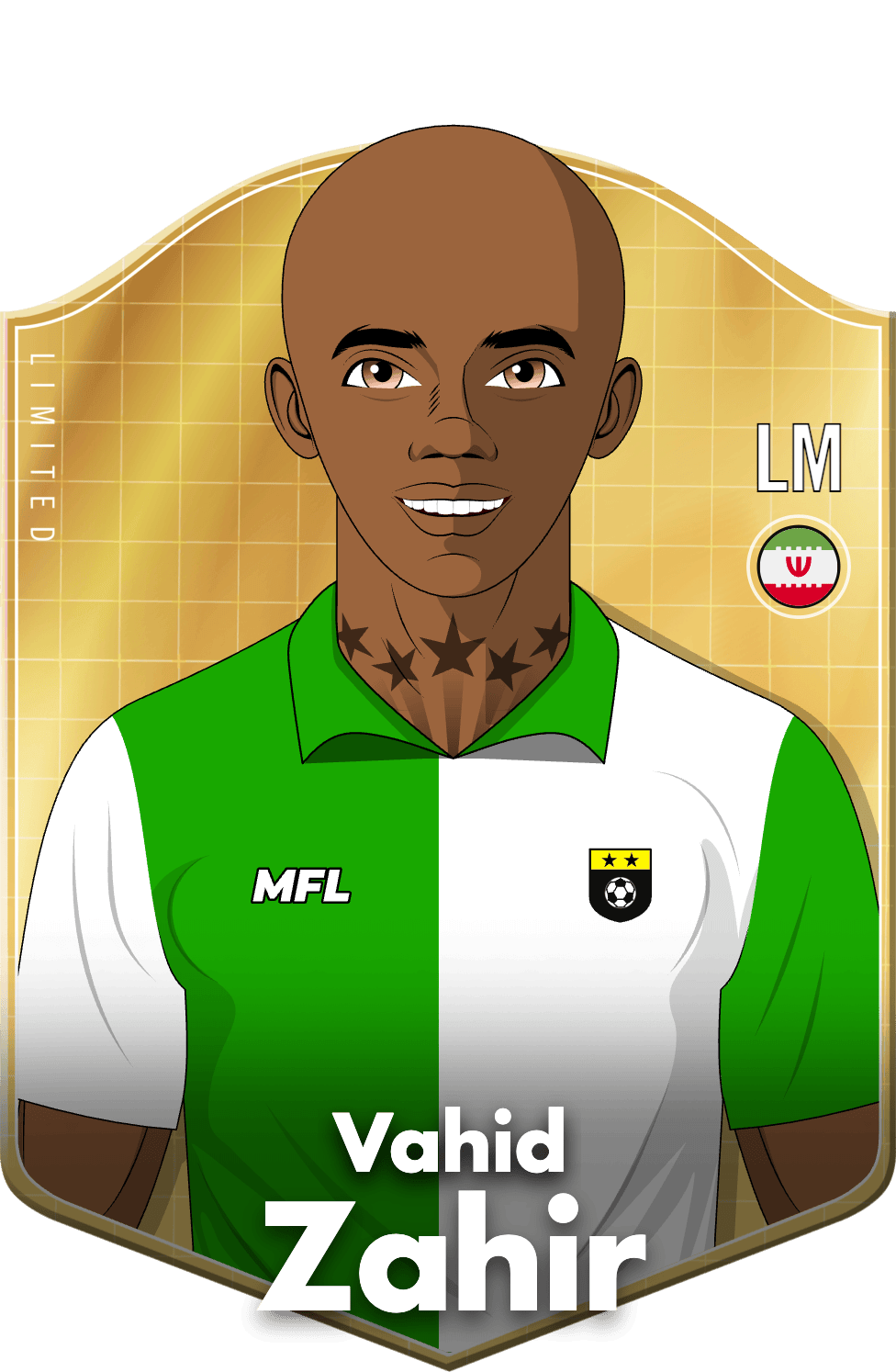 Vahid Zahir asset