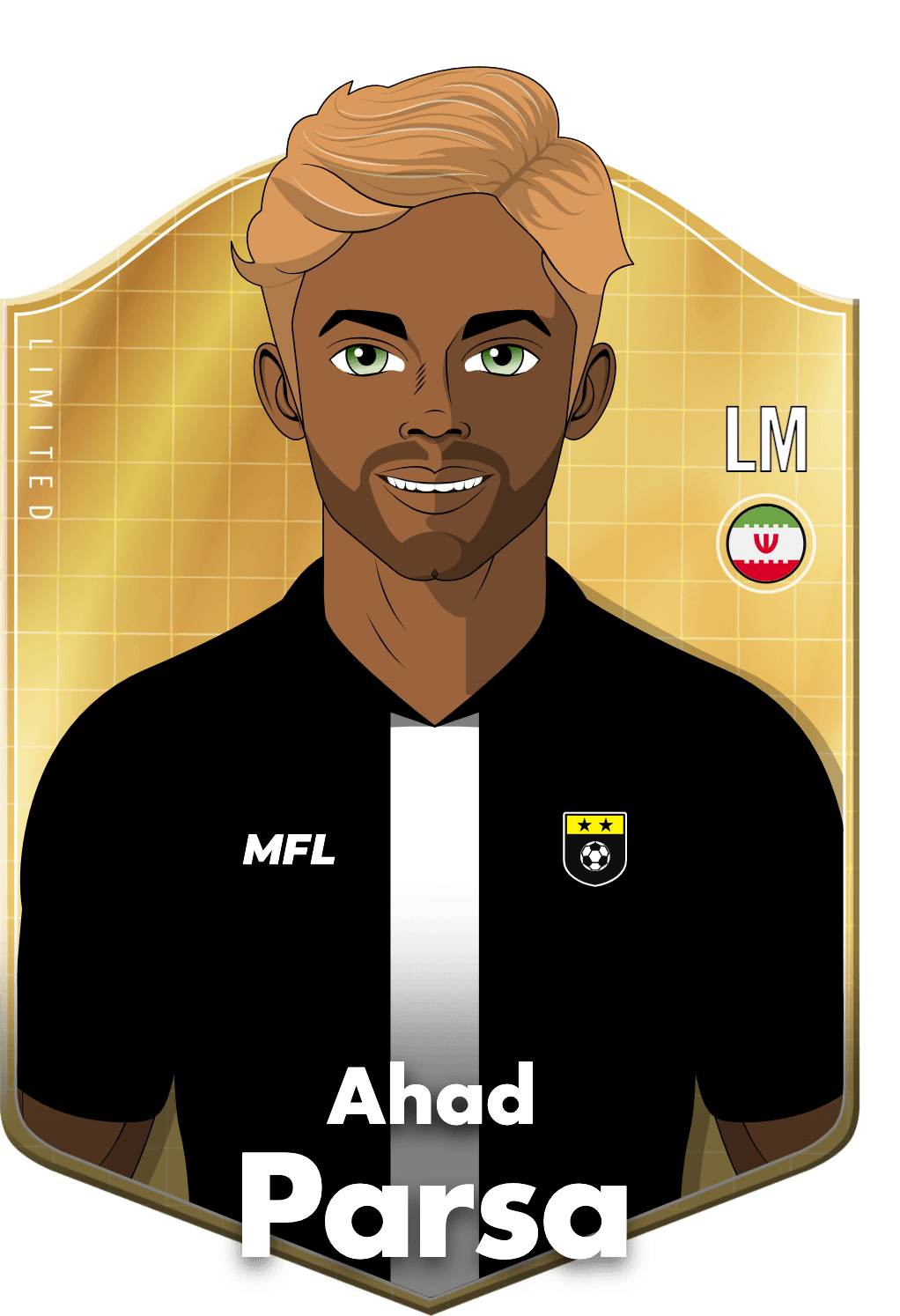 Ahad Parsa asset