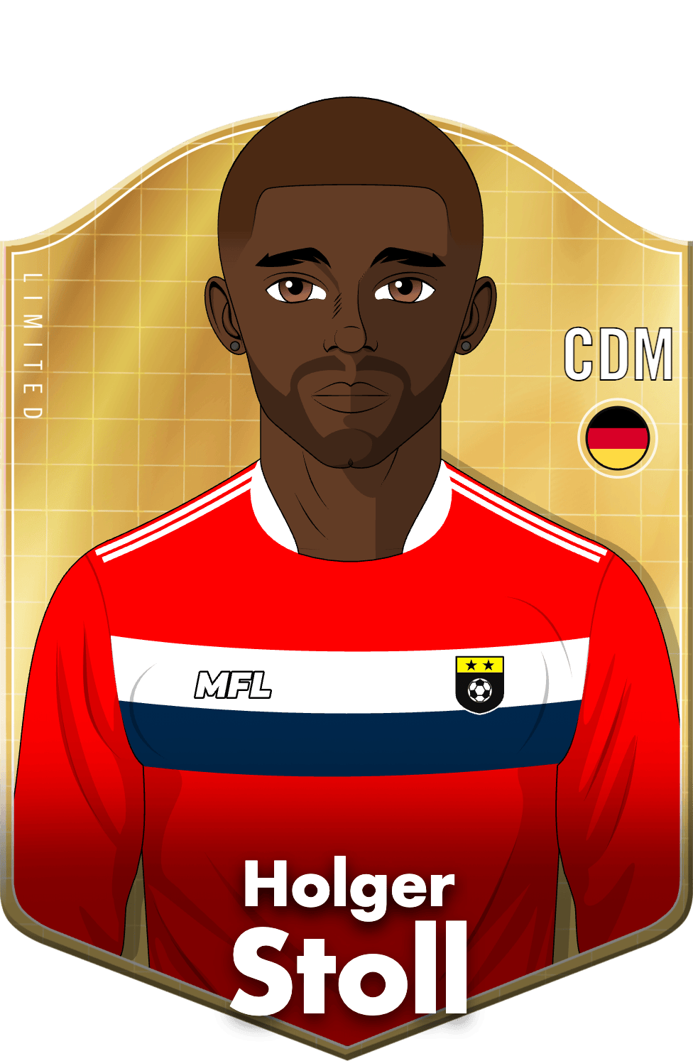 Holger Stoll asset