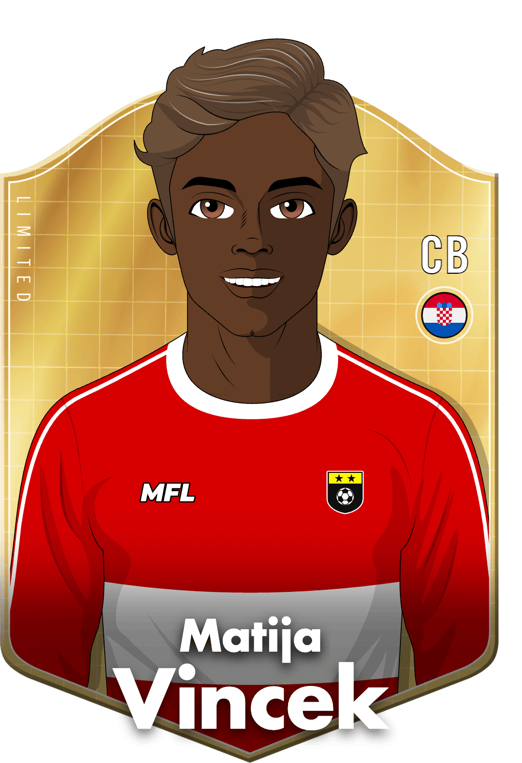 Matija Vincek asset