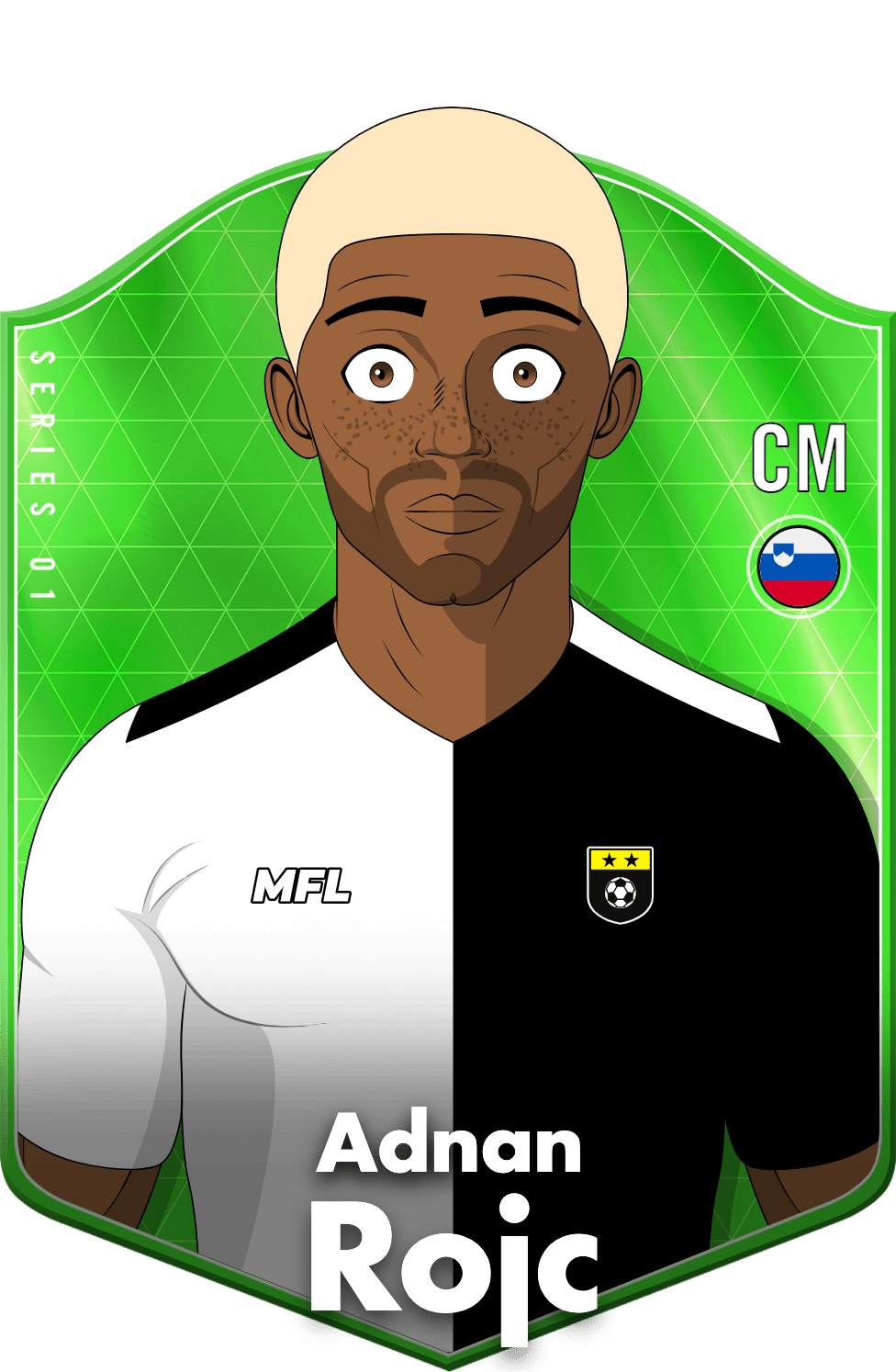 Adnan Rojc asset