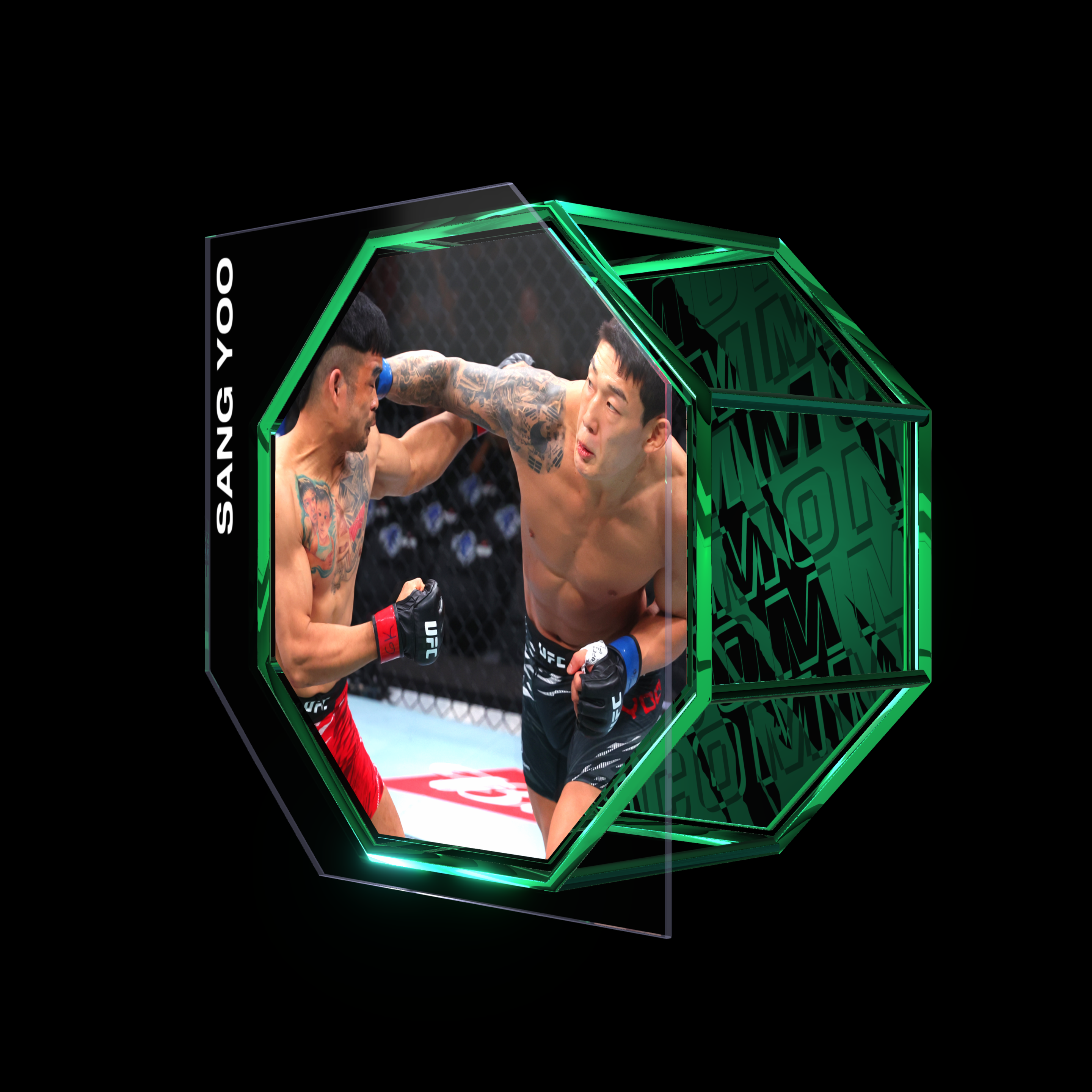 JOOSANG YOO | UFC 316 | KO/TKO asset