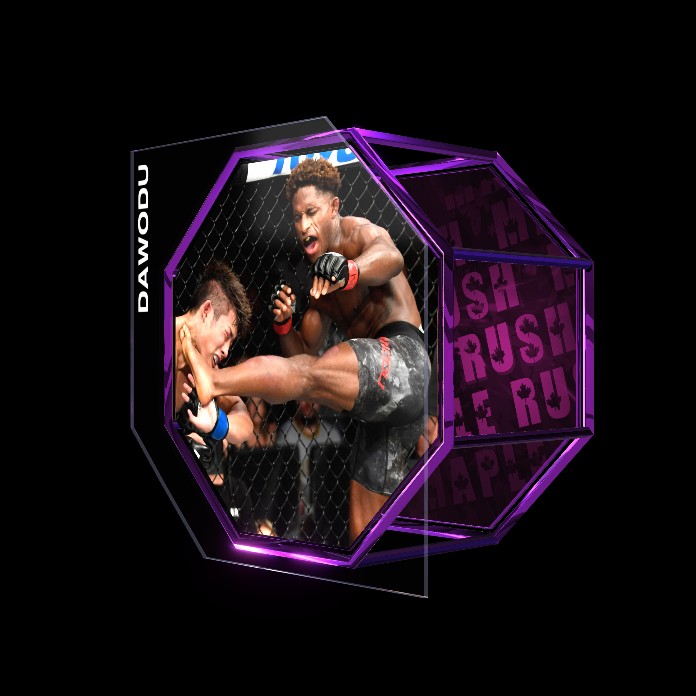 HAKEEM DAWODU | UFC 240 | KO/TKO asset