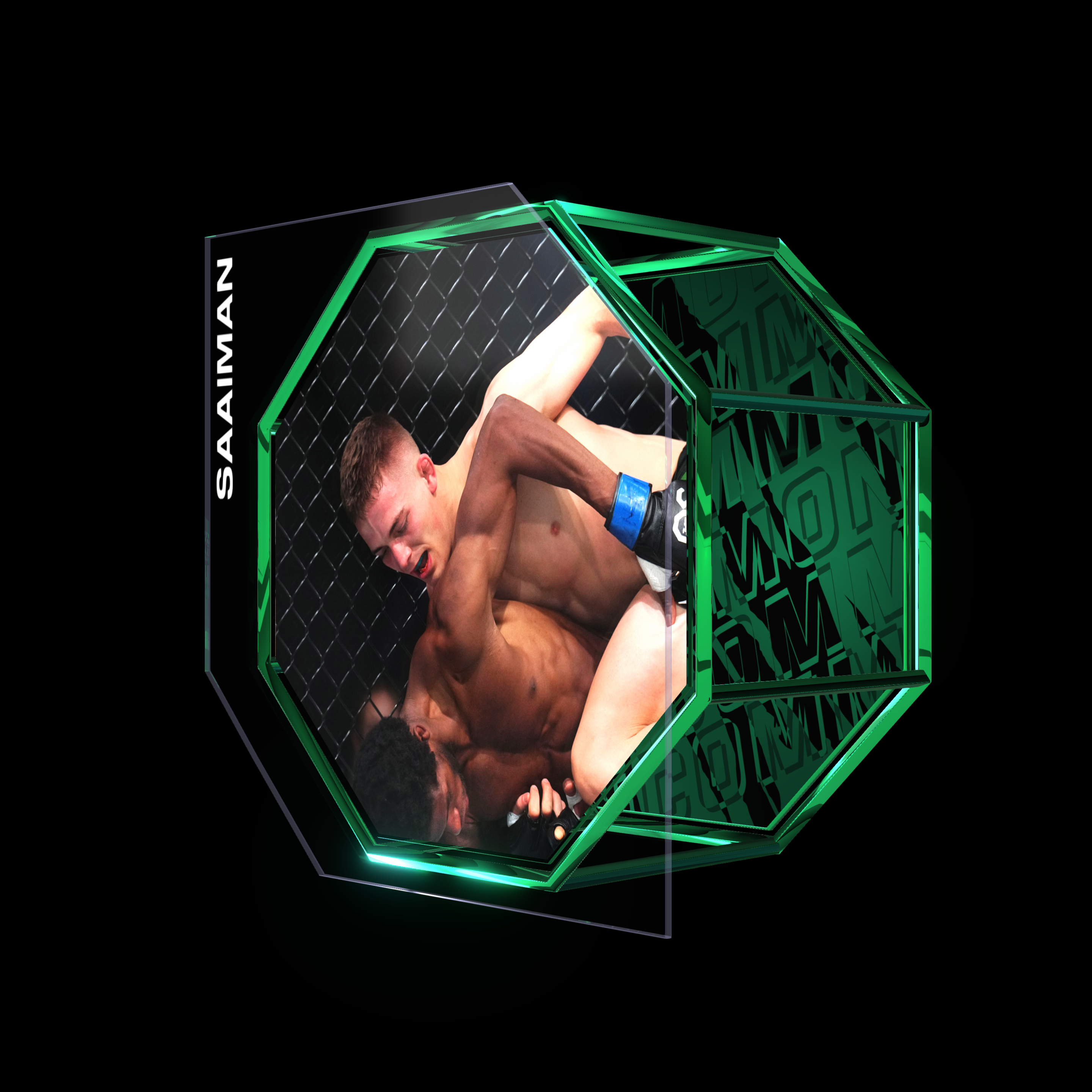 CAMERON SAAIMAN | UFC 290 | KO/TKO asset