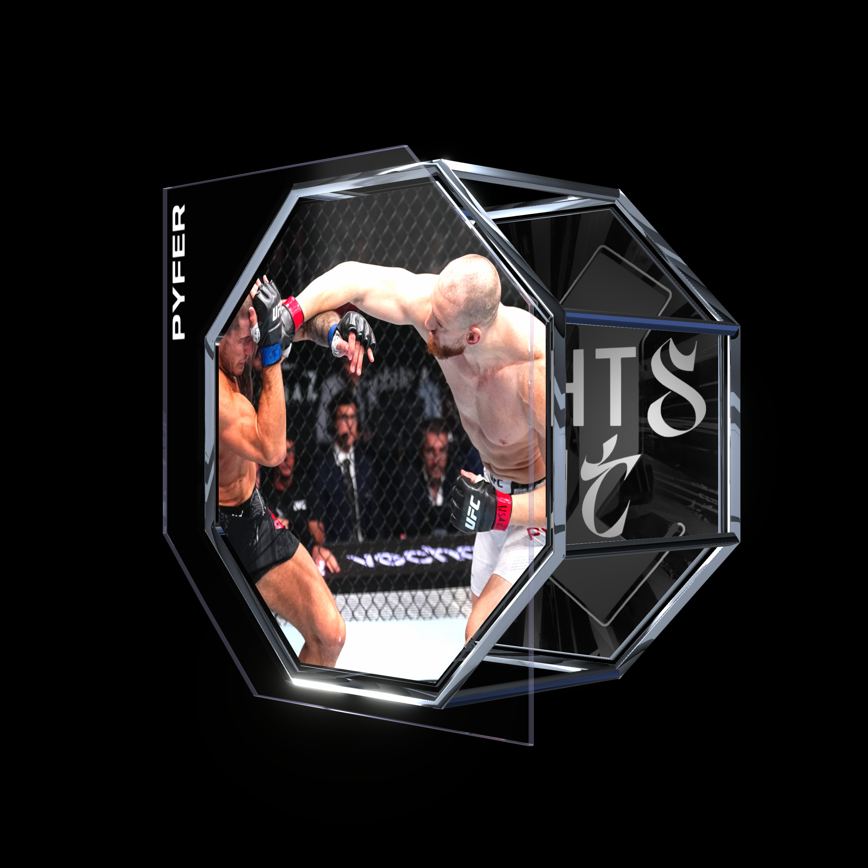 JOE PYFER | UFC 303 | KO/TKO asset